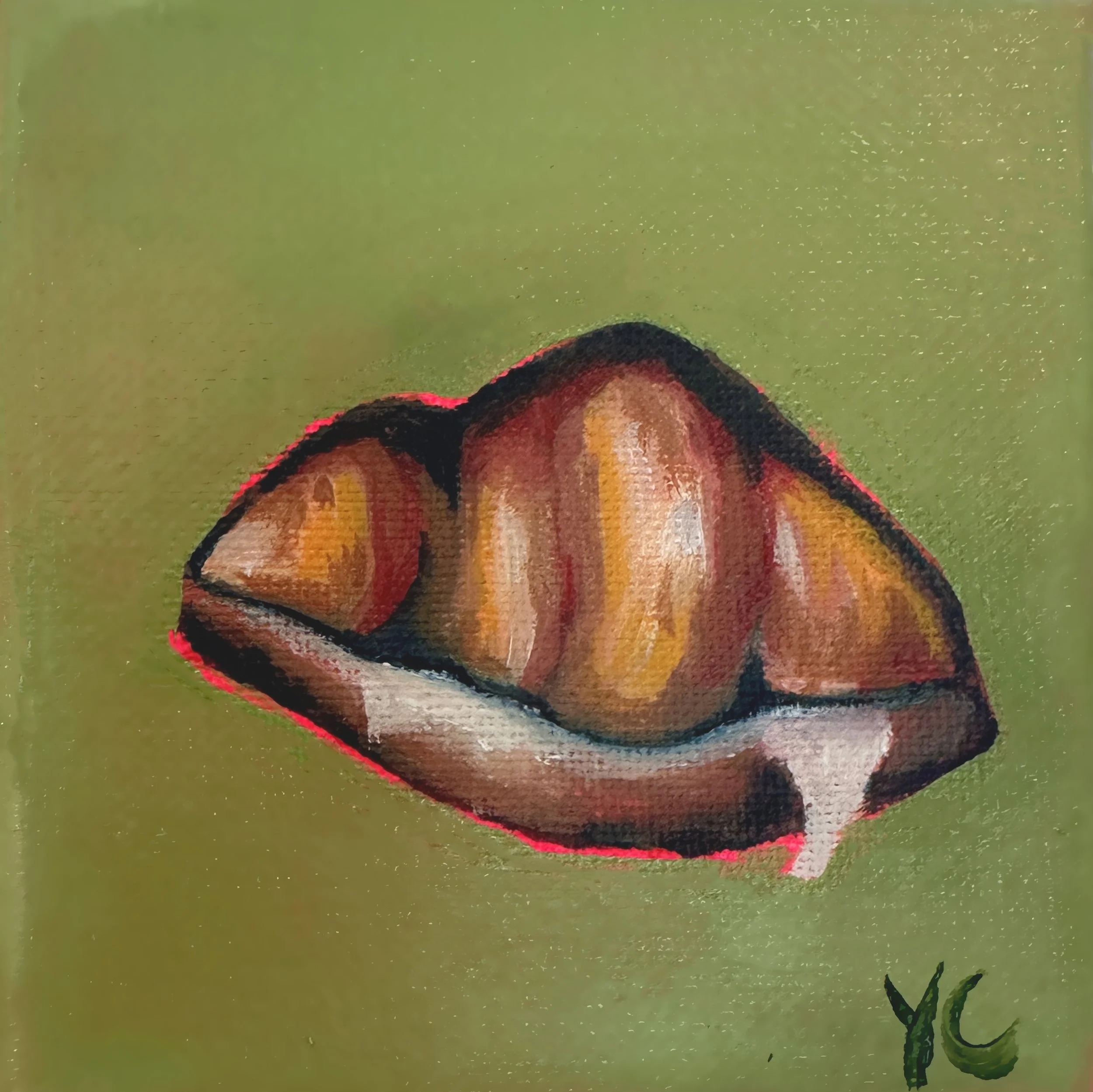 Labneh Croissant