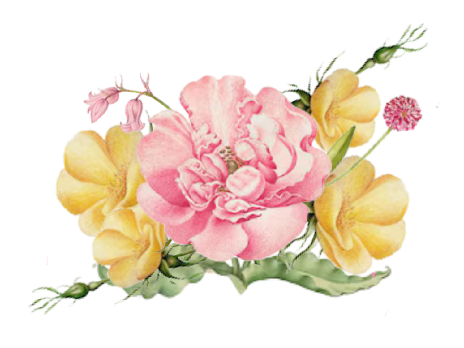 Elizabeth &amp; Andrew