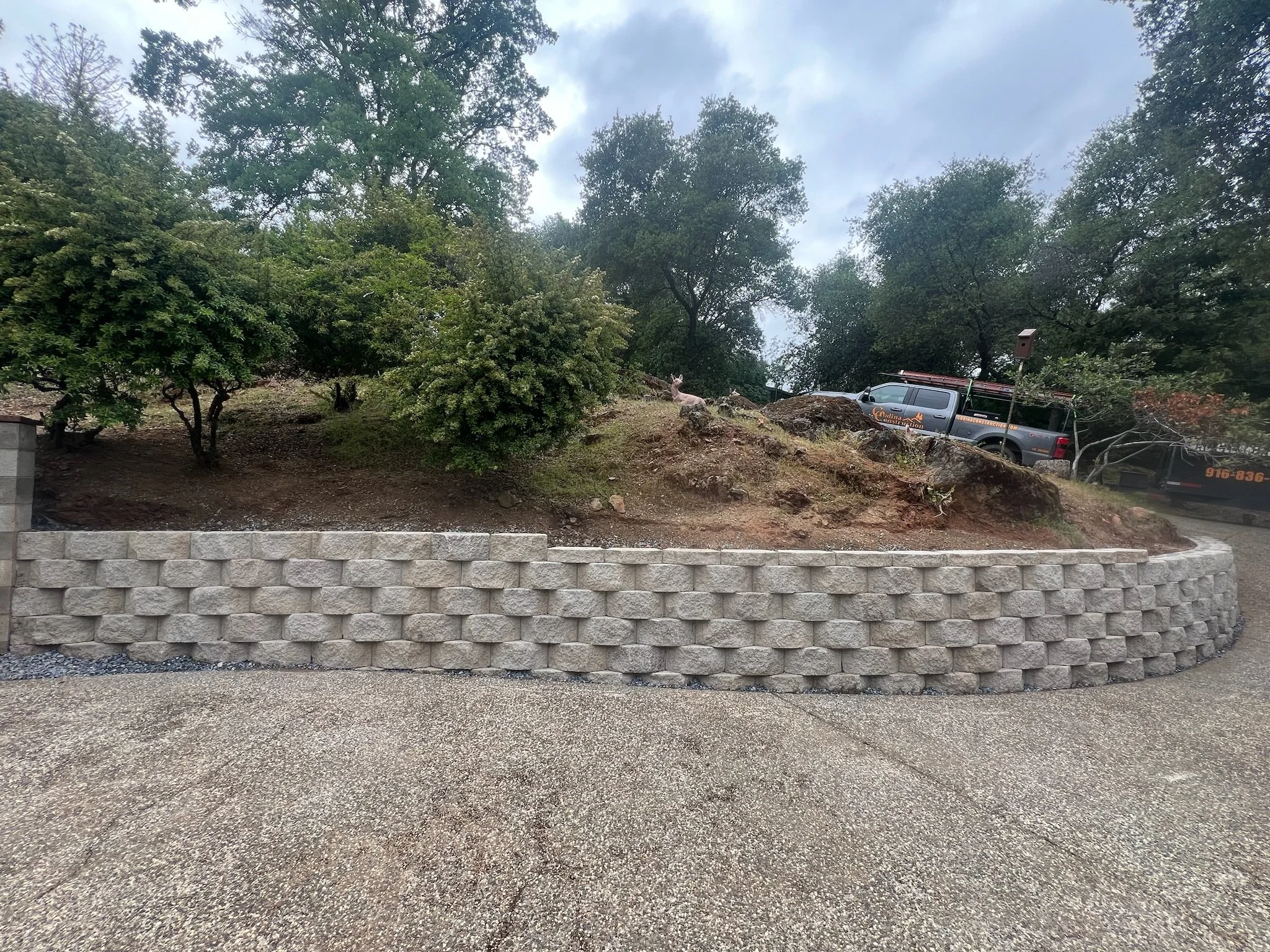 Godina Logo (2)-modified.JPG