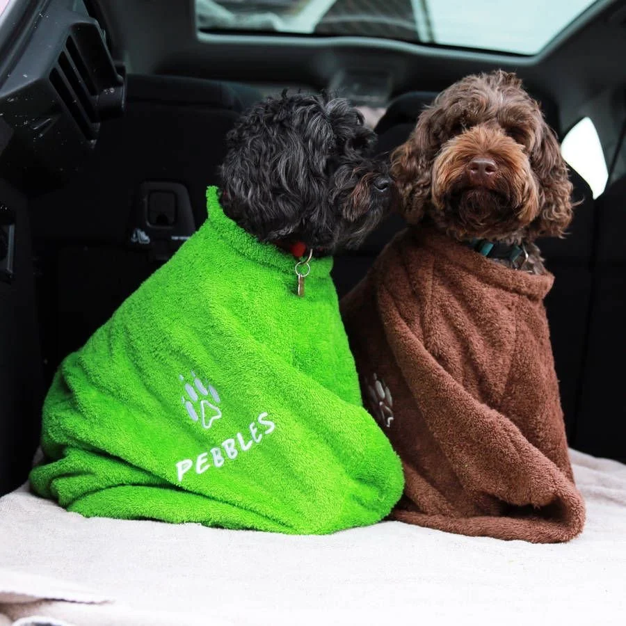 The Quiet Questions: Key Security, Insurance &amp; Trust When Choosing a Dog Walker in Newquay