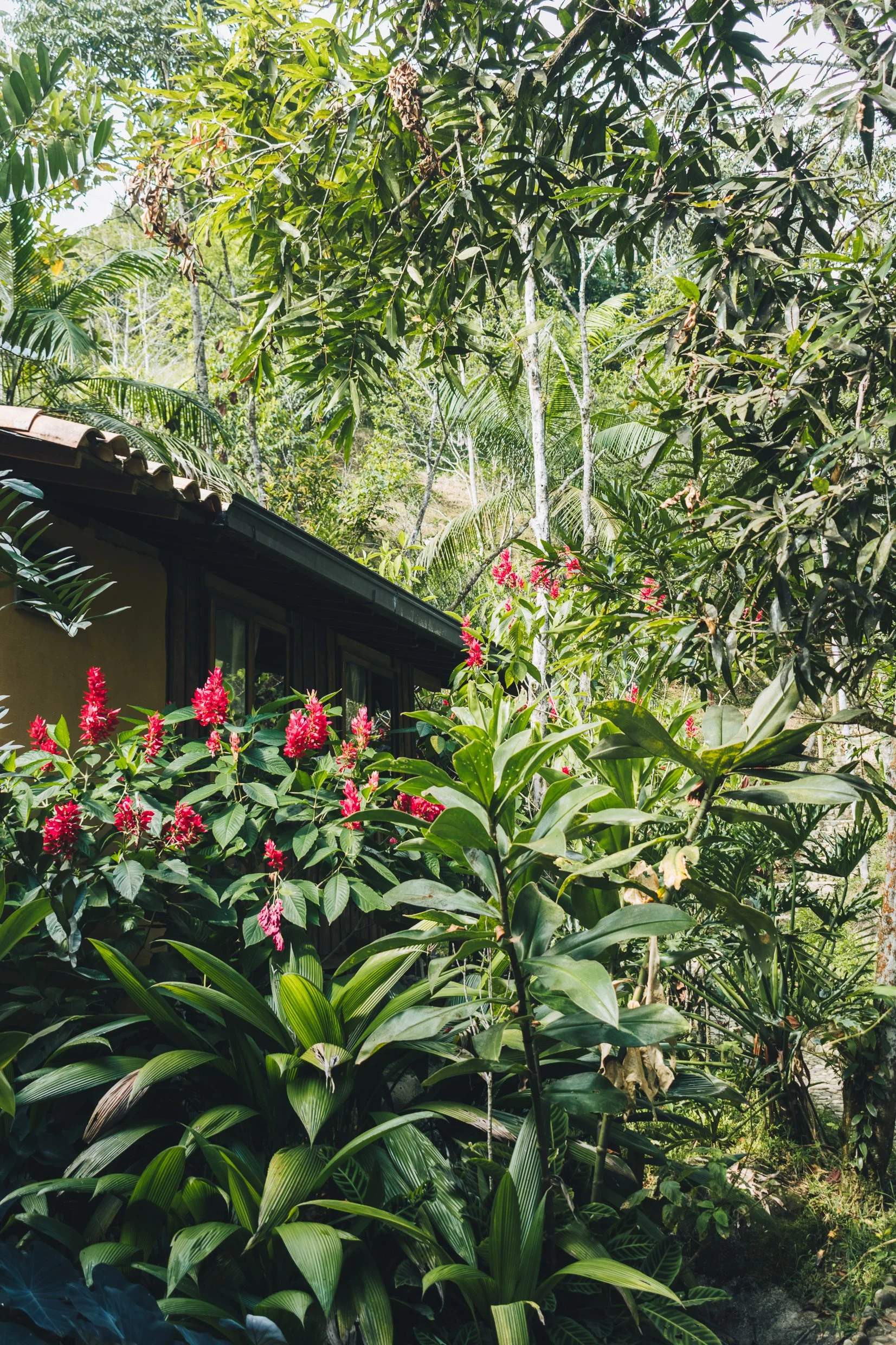Cabin in nature near Medellin