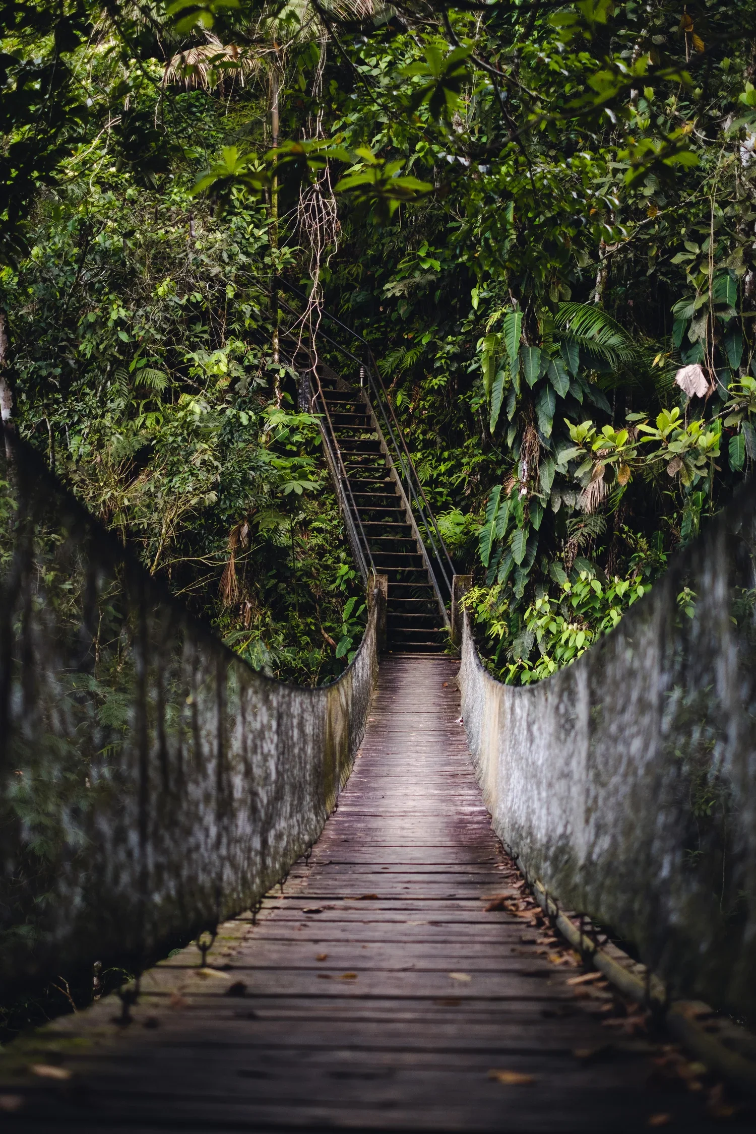 Amazing forest retreat in a town near Medellín with clear rivers and beautiful nature.