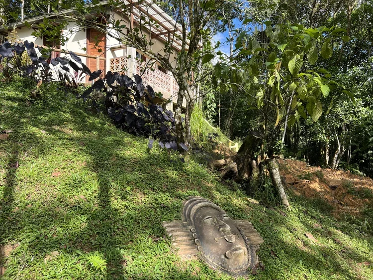 Cabin in nature near Medellin