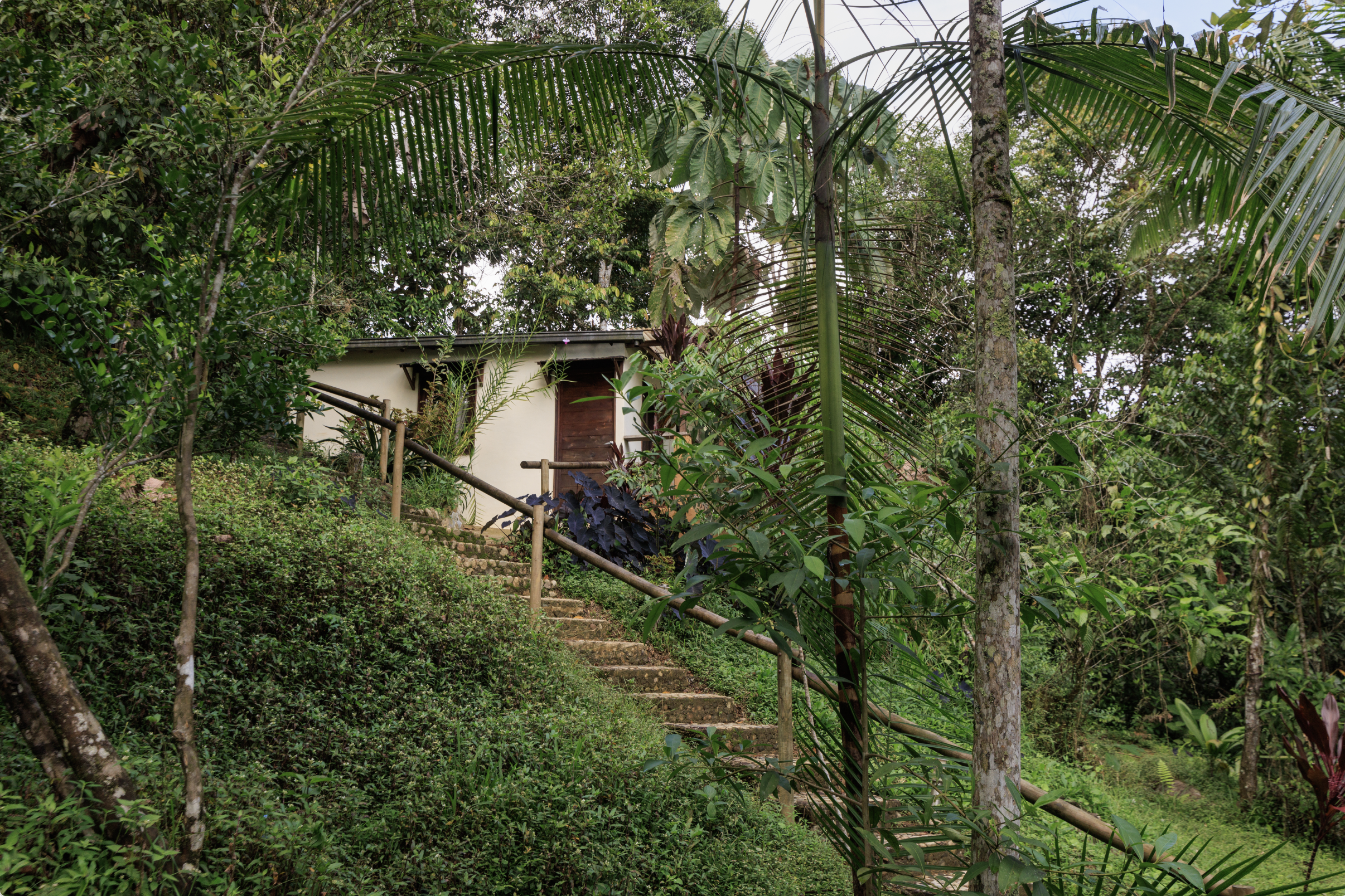 Cabin in nature near Medellin