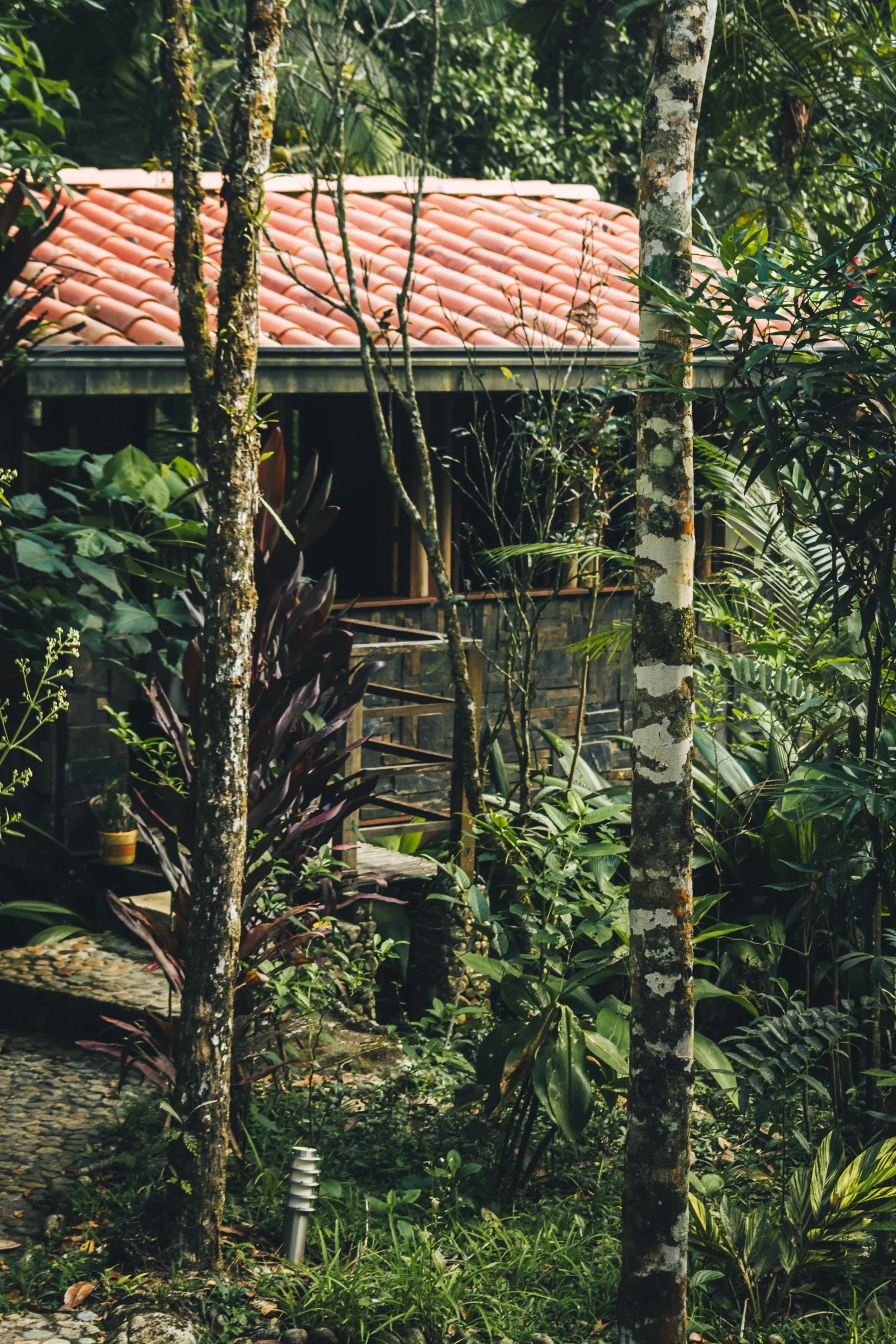 Cozy cabin in nature near Medellin