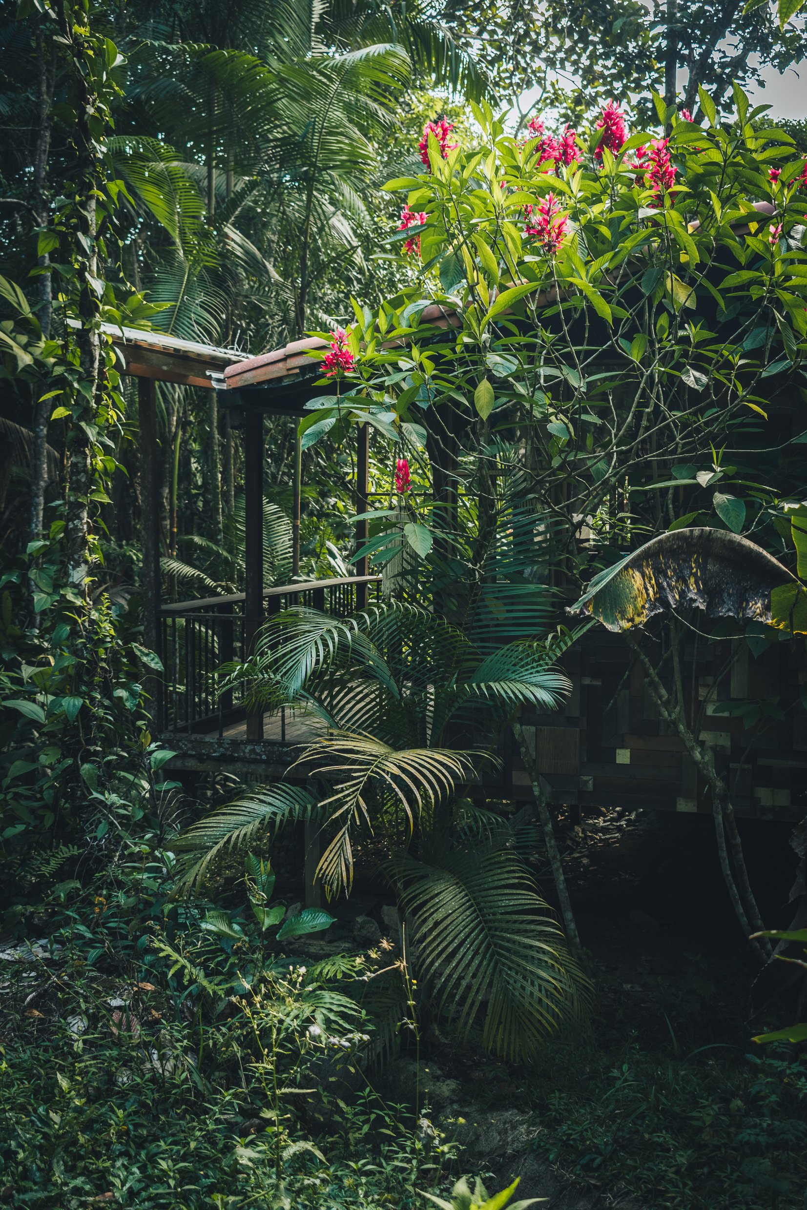 Cozy cabin in nature near Medellin