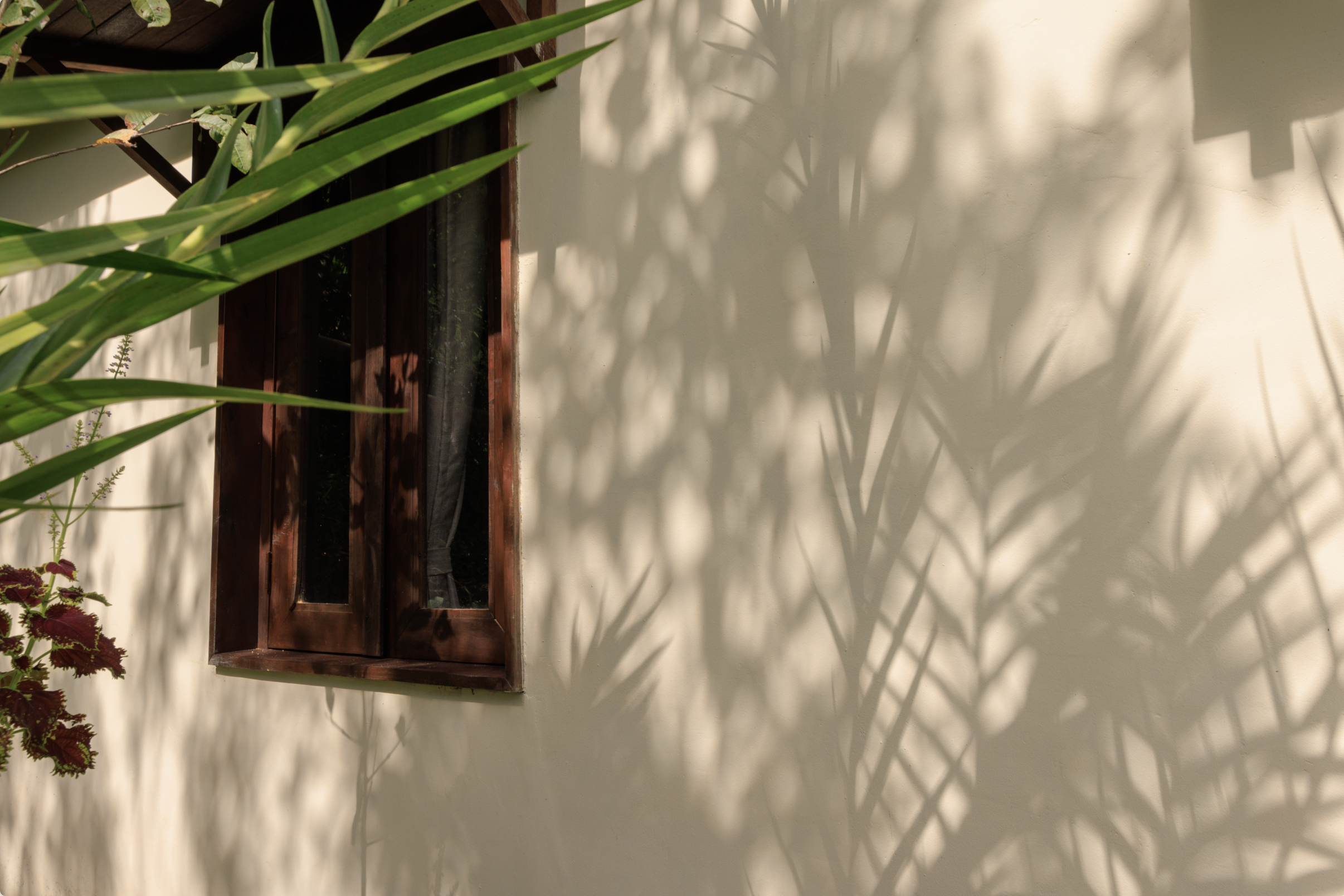 Cabin in nature near Medellin