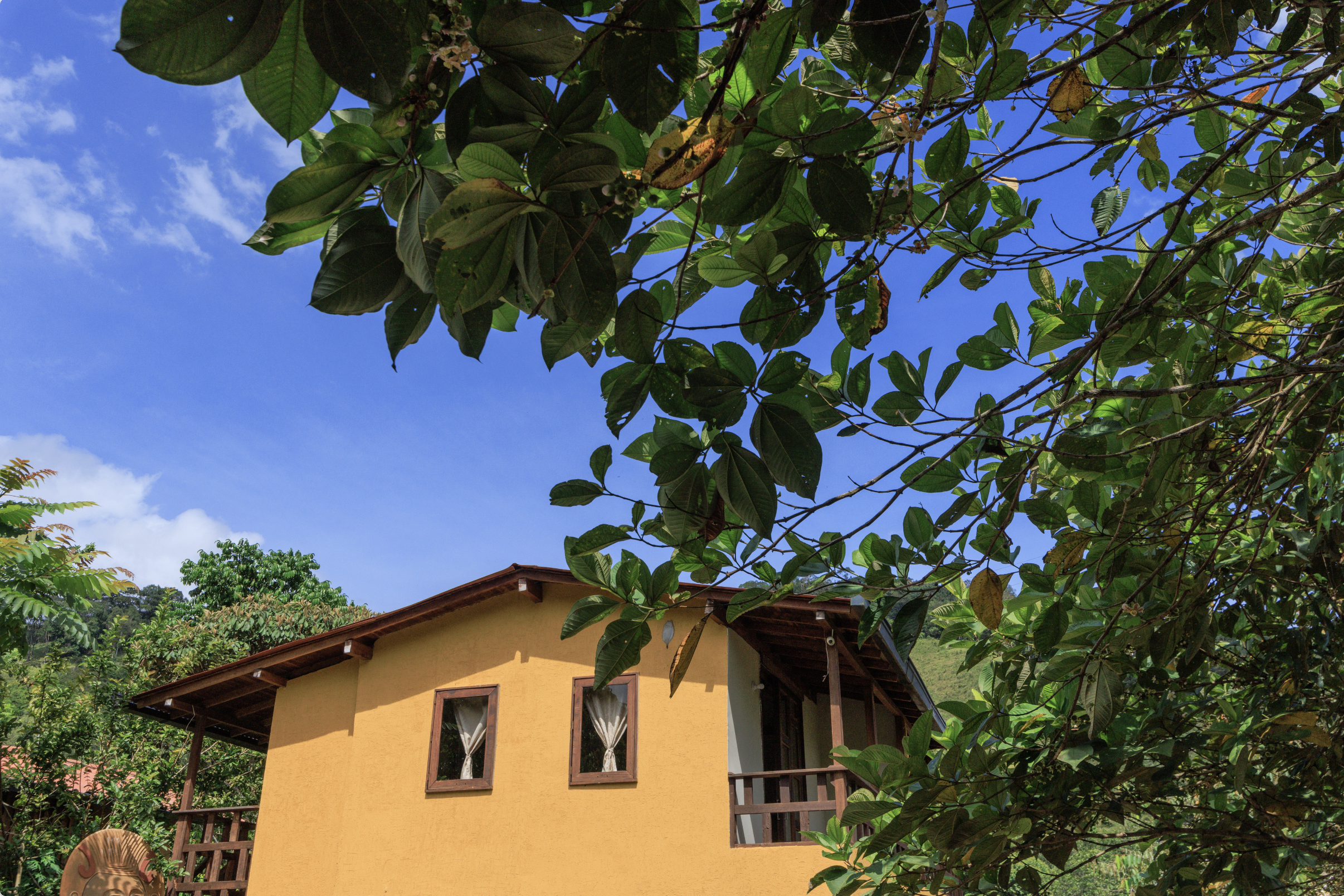 6 Screenshot 2025-06-23 at 6.34.06 AM.png