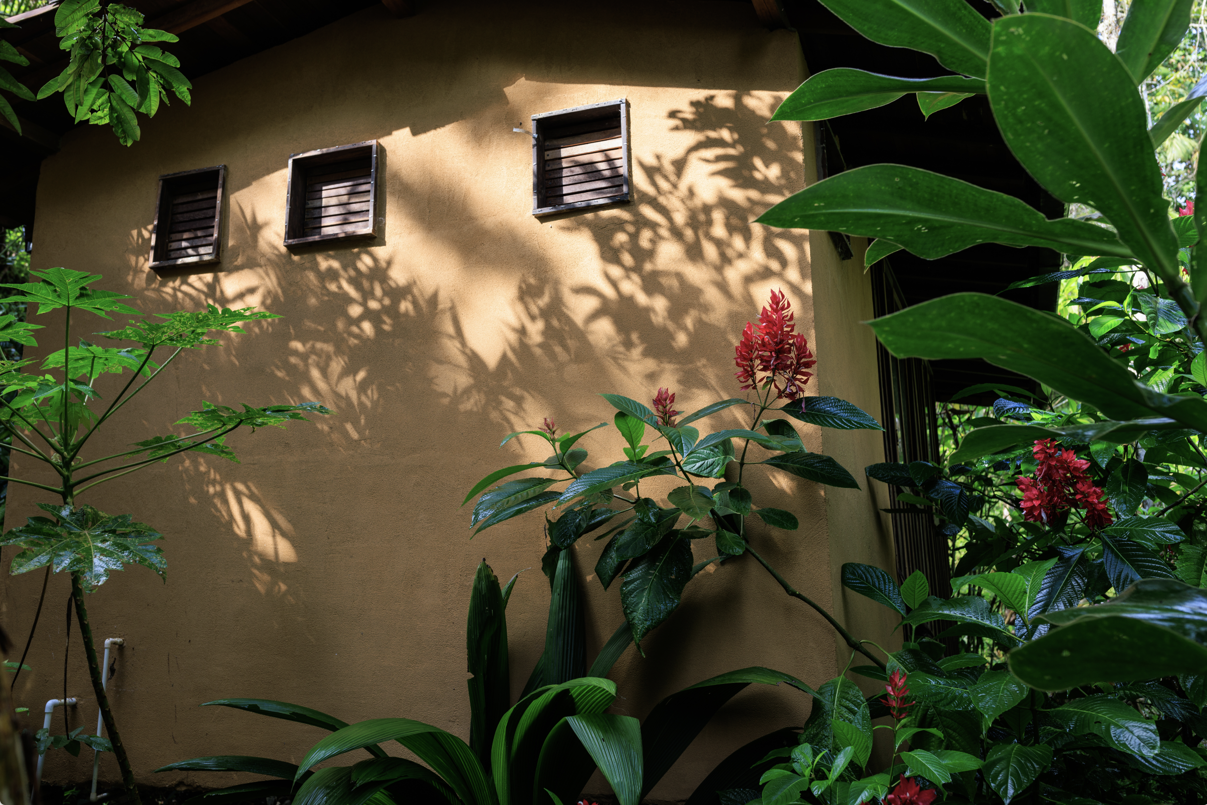 Cabin in nature near Medellin