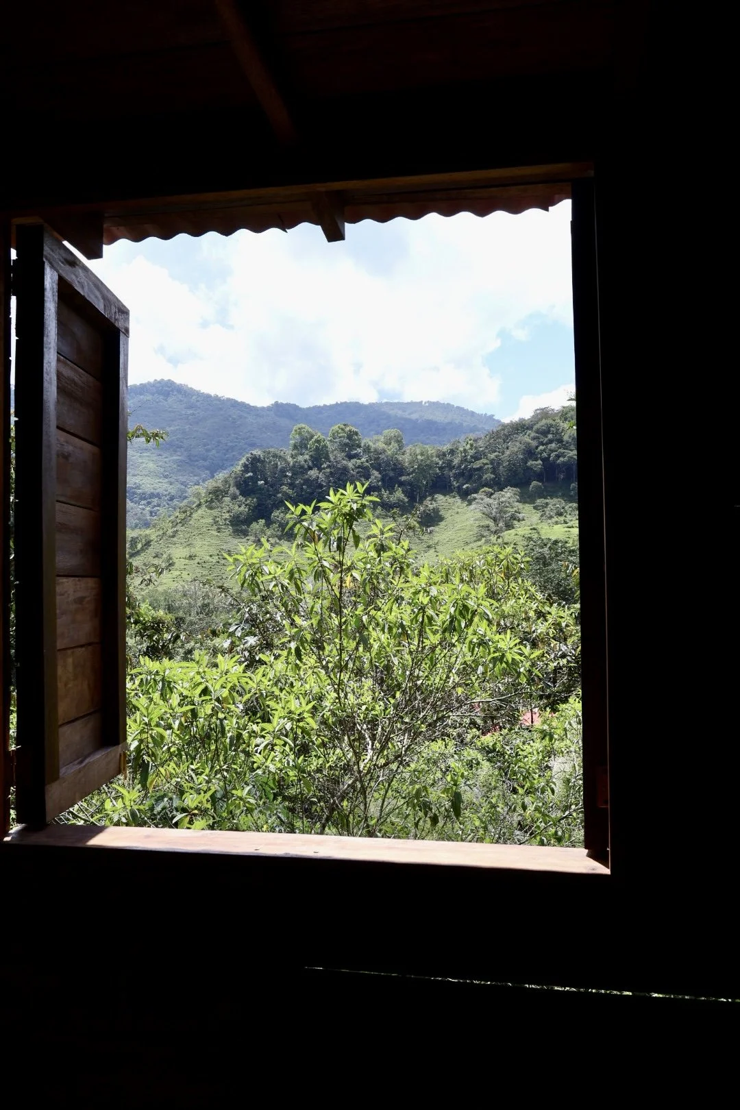 Mountain view through a window with wooden shutters, showing lush green trees and hills under a partly cloudy sky.