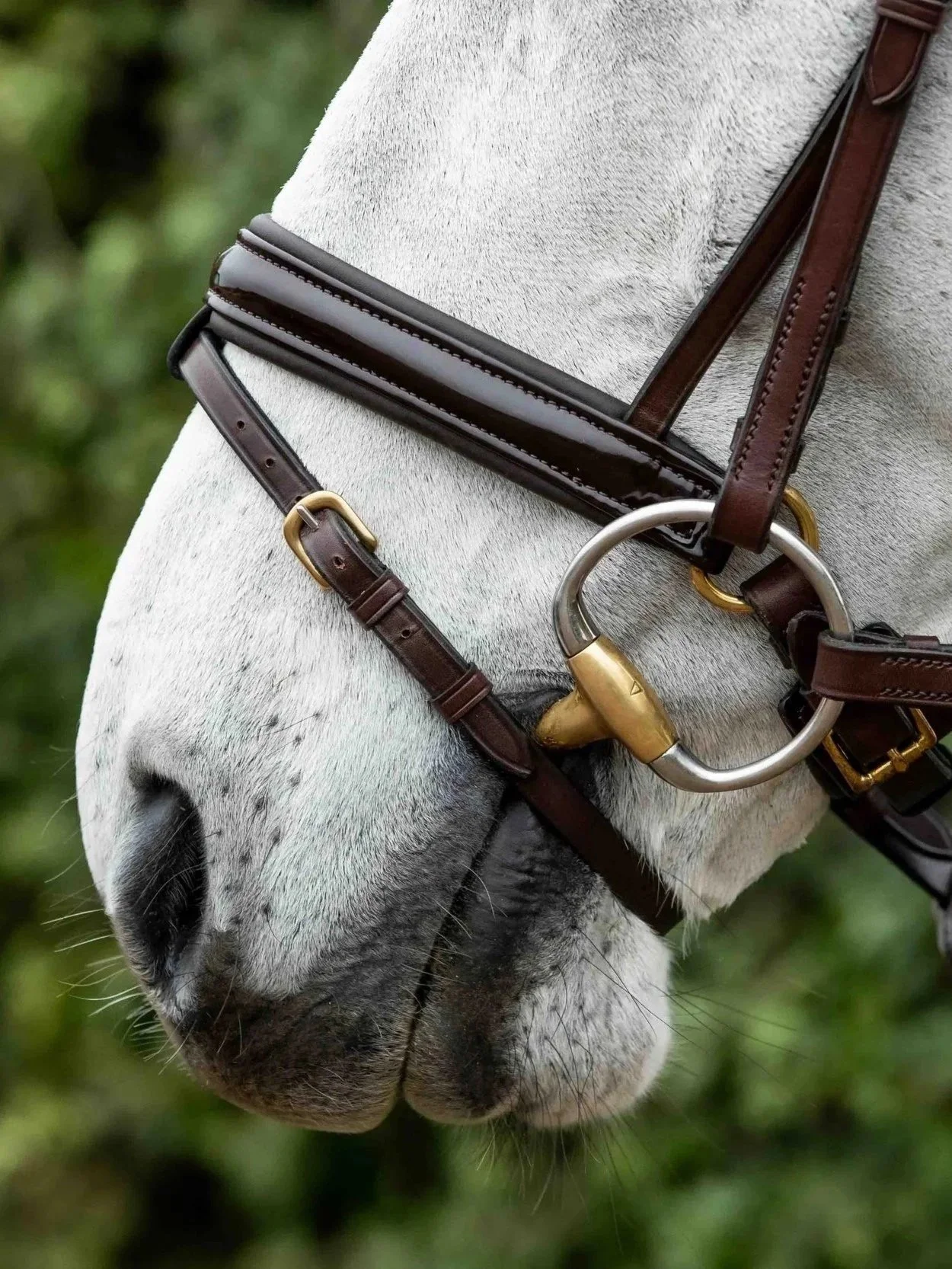Patent trim pull-back Flash Noseband