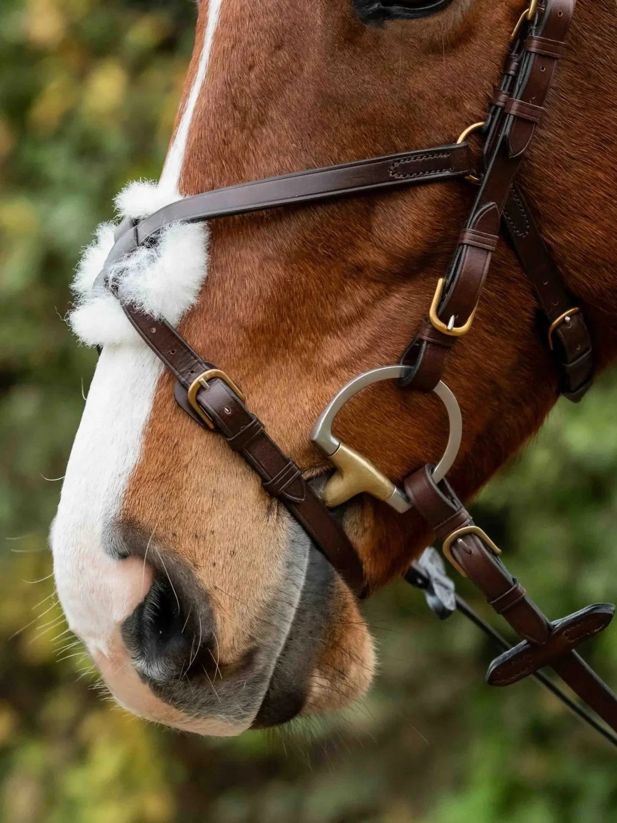 Leather high-ring Grackle Noseband