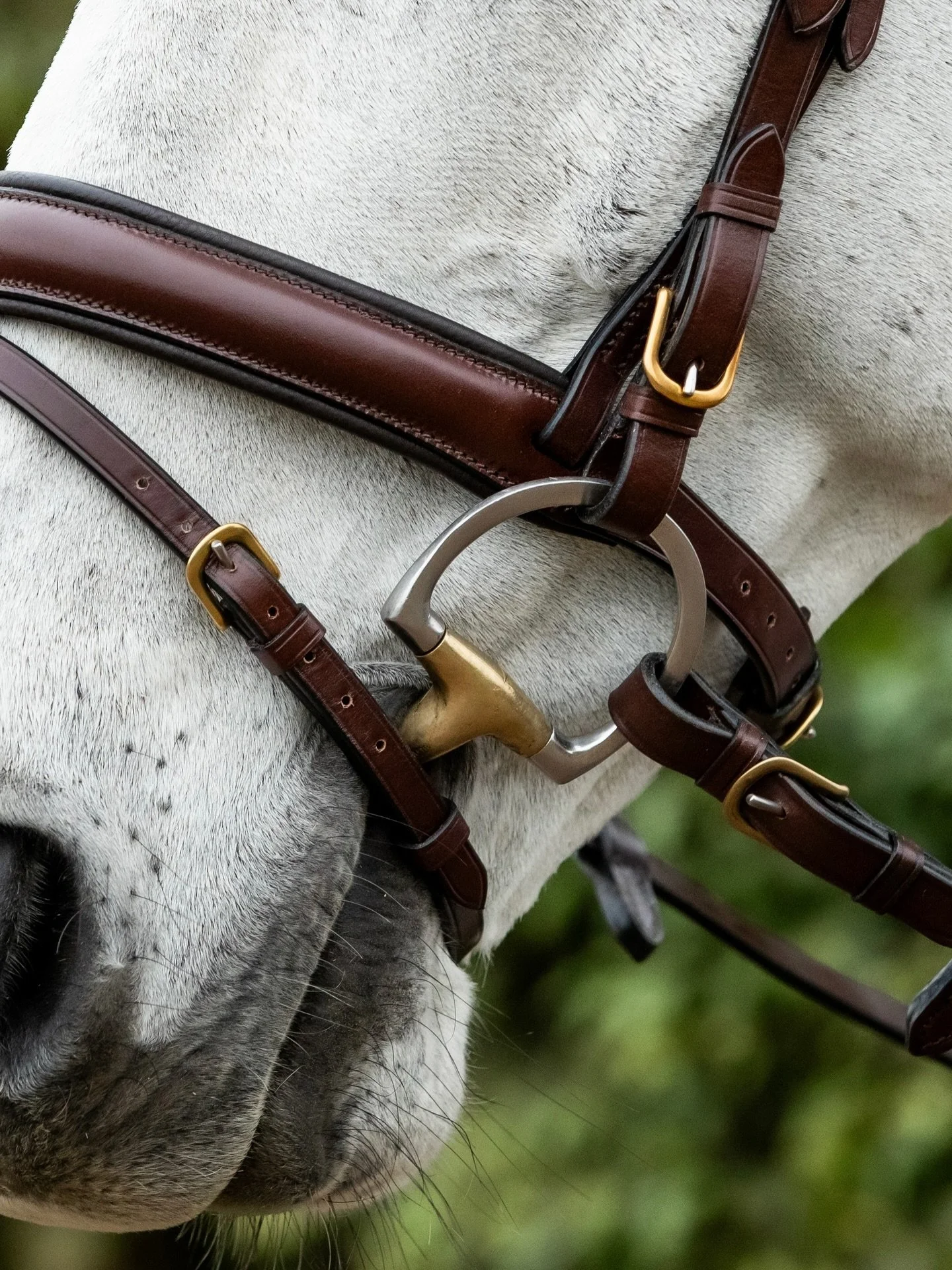 Every Kate Negus bridle reflects our commitment to craftsmanship, hand-stitched using quality British leather and made to last.

#katenegussaddlery #equinebrand #equineproducts #equestrian #britishleather