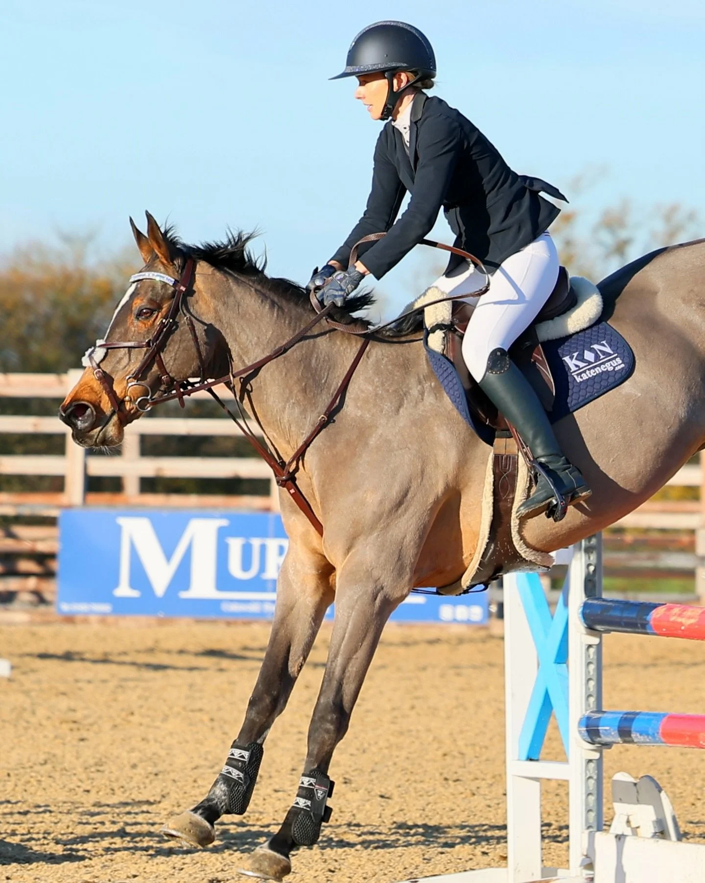 A great photo of @jasminepunter_, a vision in Kate Negus products 🤍

#katenegussaddlery #showjumping #katenegusbridle