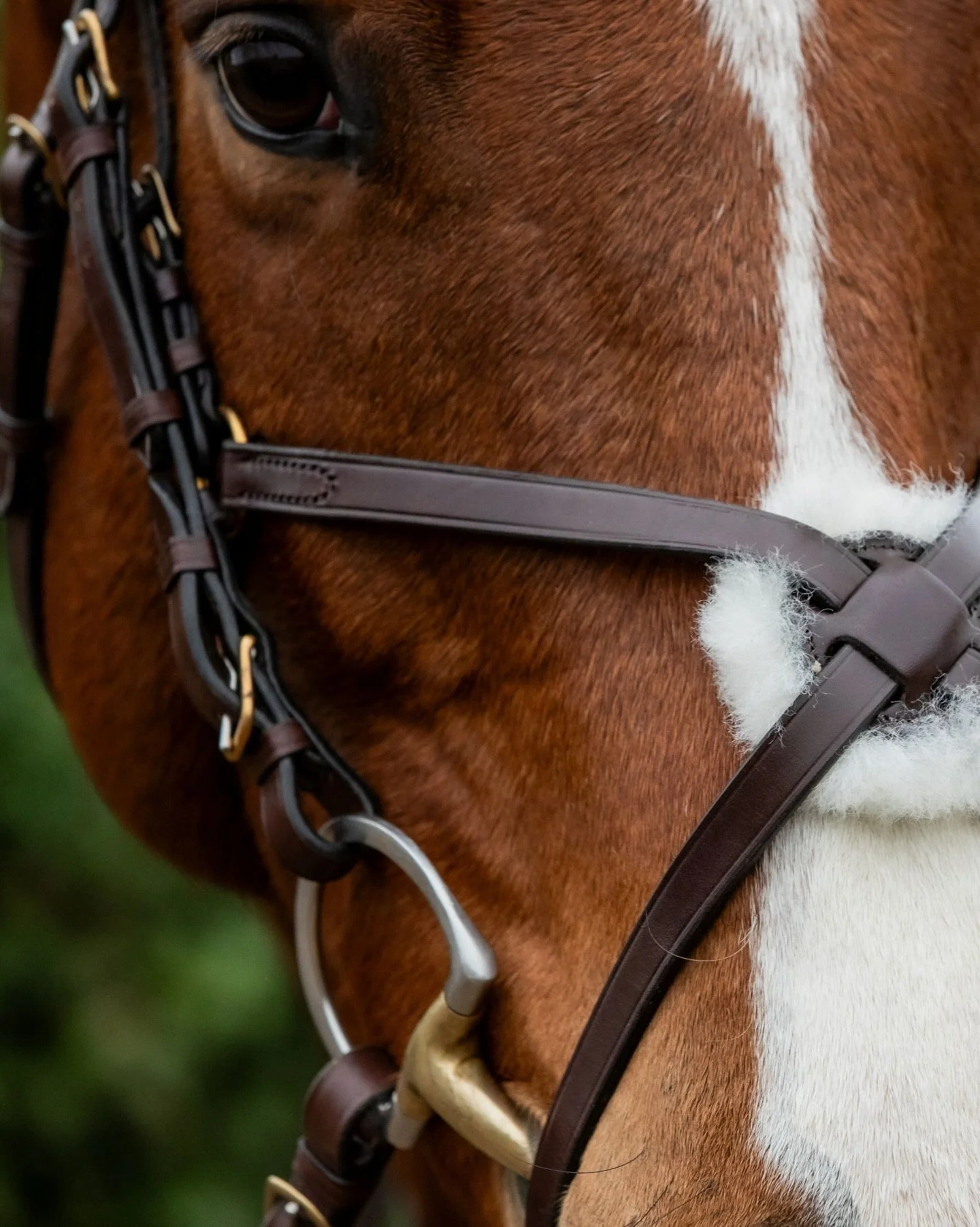 Why we&rsquo;re not doing Black Friday&hellip;

We have made the decision that we will not be doing Black Friday this year. We believe in fair pricing from the very beginning - fair to our suppliers, and fair to you. Our bridlework and handbags are n