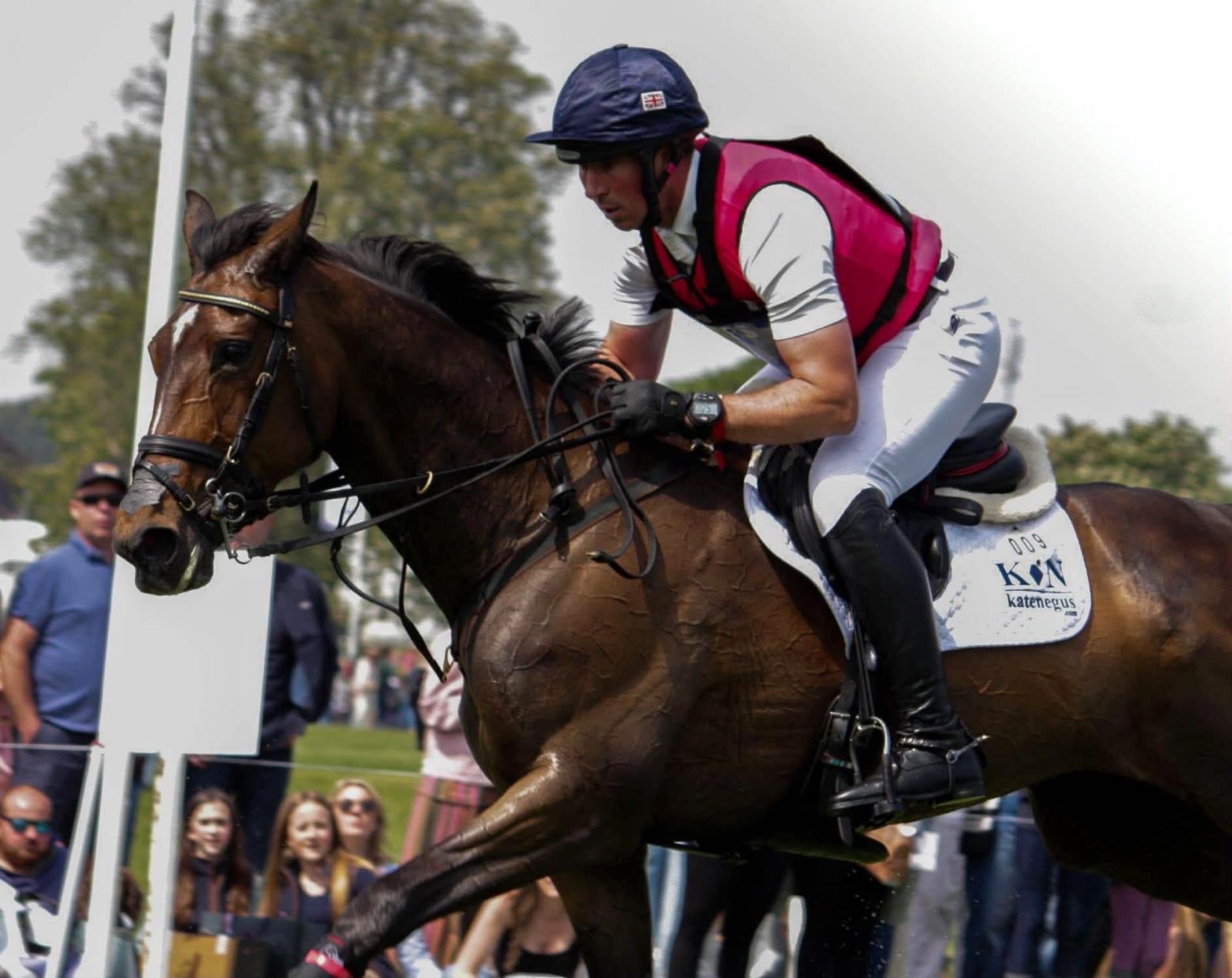 We love this action shot of David and Ferro Point by Anya Frodin. 📷 

David secured two excellent completions giving both horses a great experience around the huge Badminton track. 

A big thank you to all our lovely customers and friends for coming