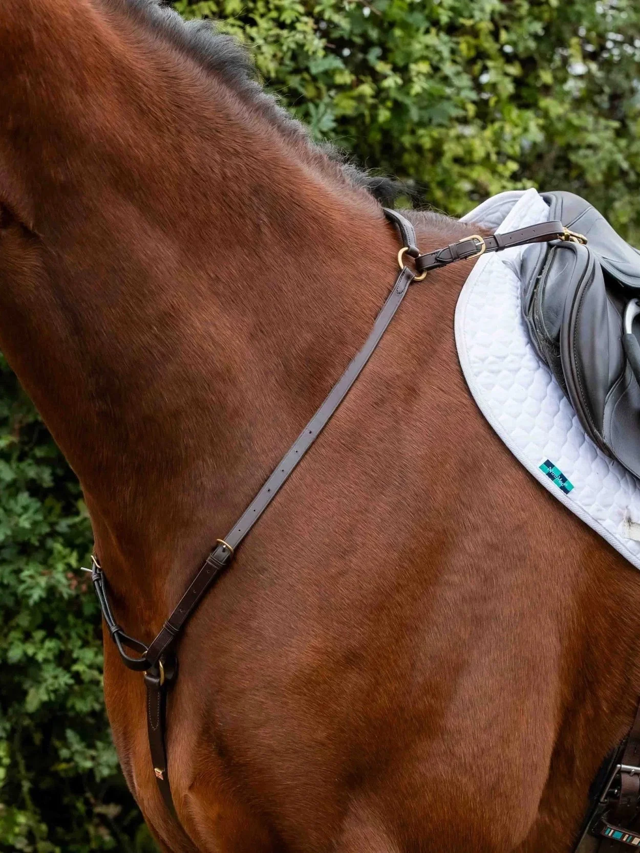 3 point Adjustable Leather Breastplate