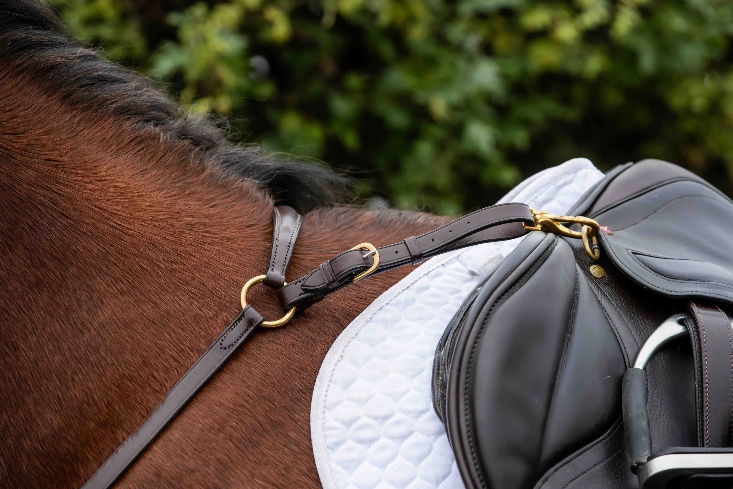 leather BP wither strap.jpg