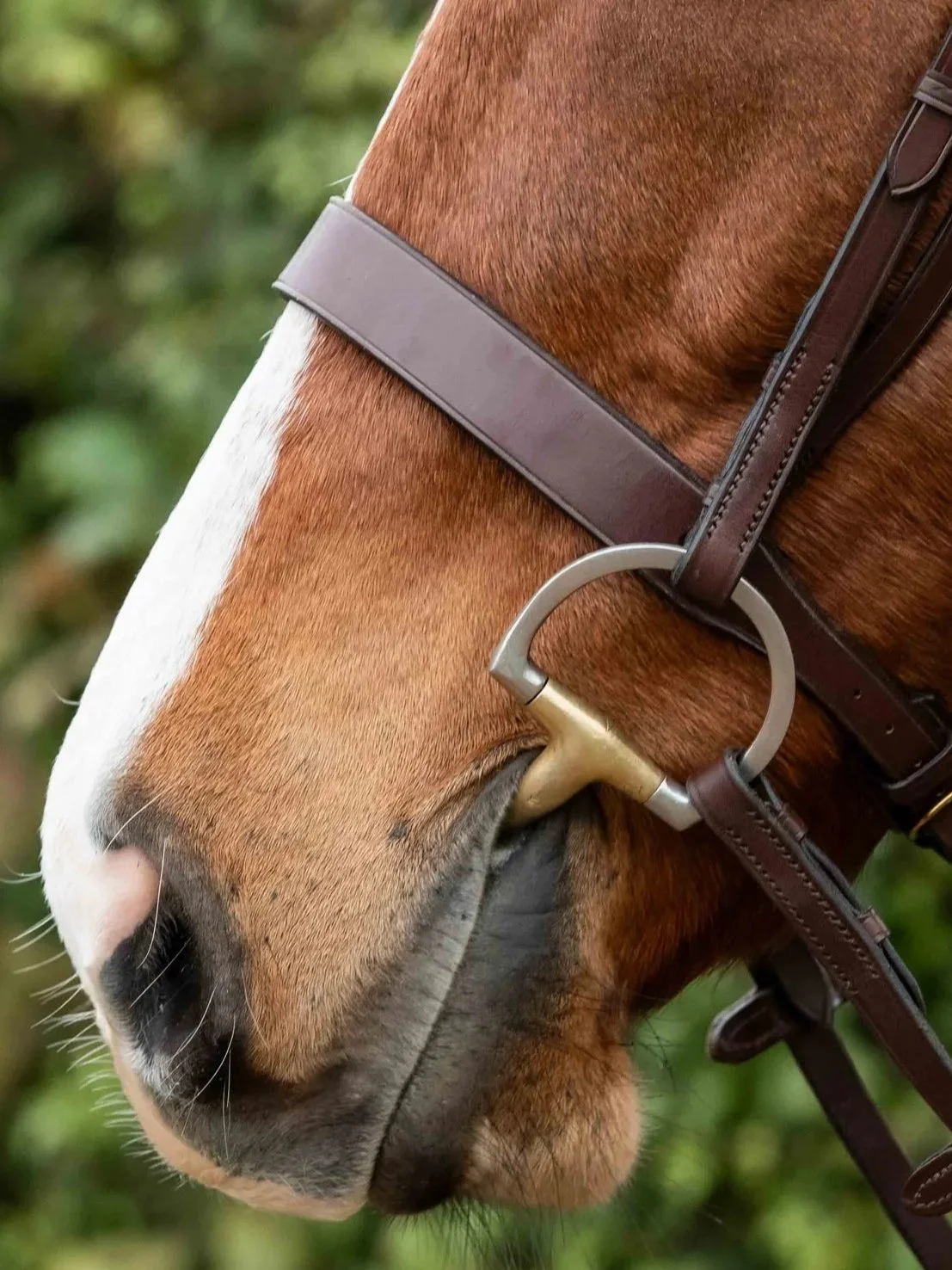 Classic Hunter Noseband