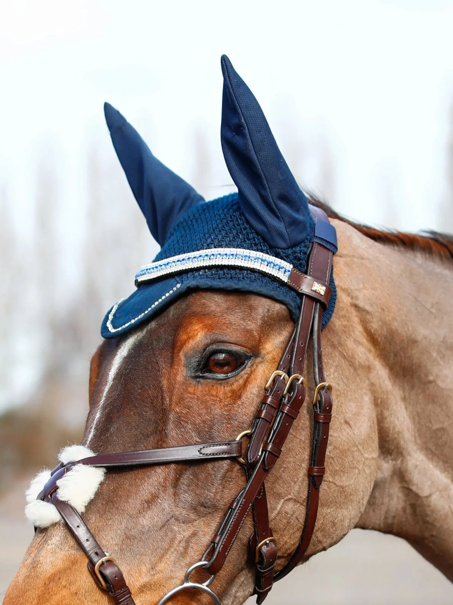 A close-up of a brown horse wearing a blue ear covers and a Kate Negus chestnut leather crackle bridle, finished with a premium cystal browband.