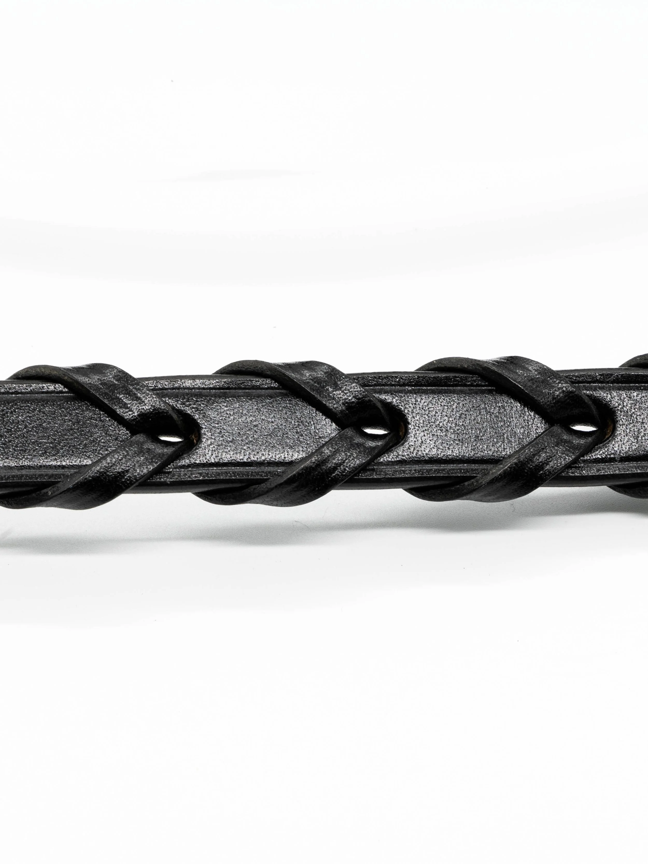 Laced rein close up.jpg