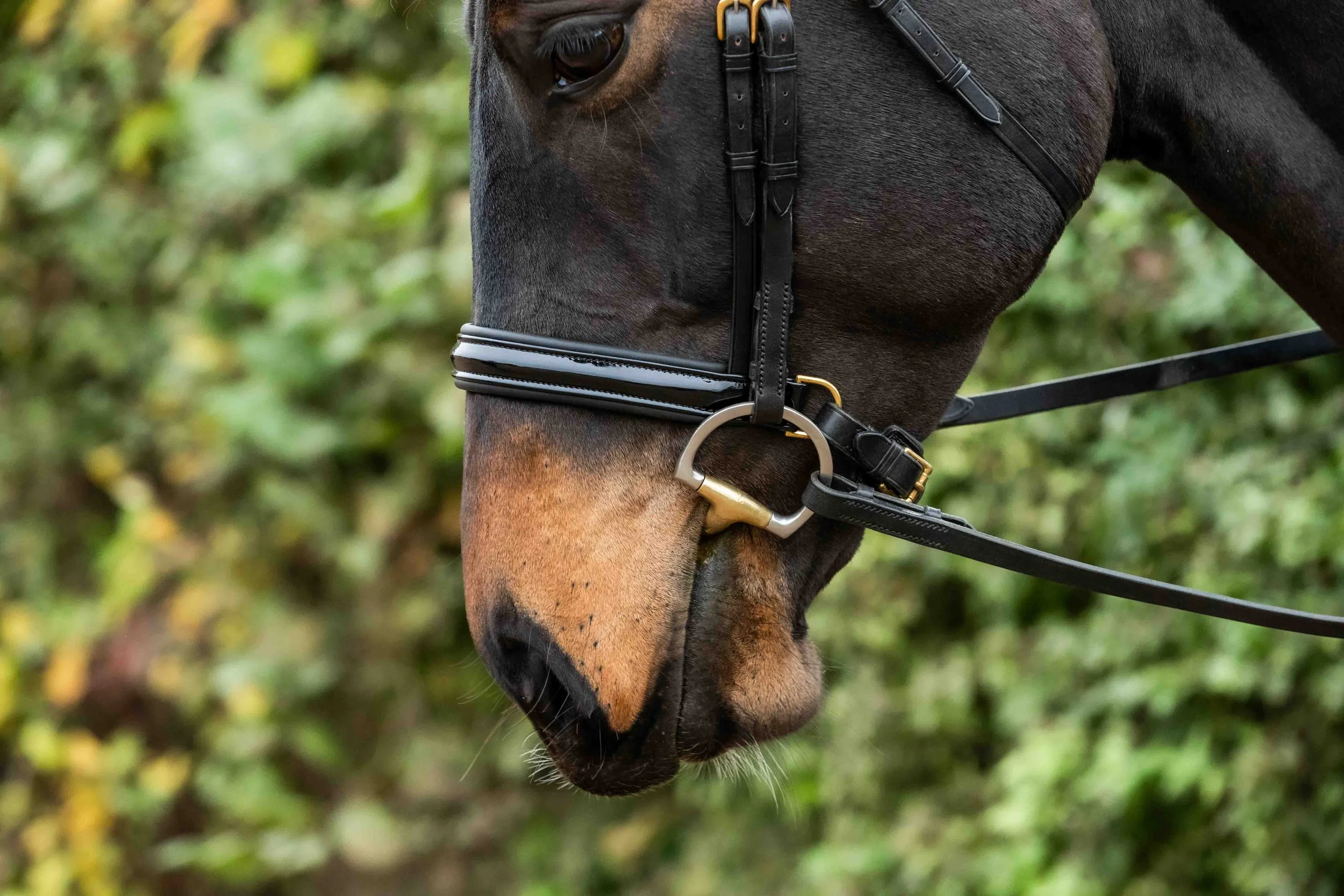Patent trim pull-back Cavesson Noseband