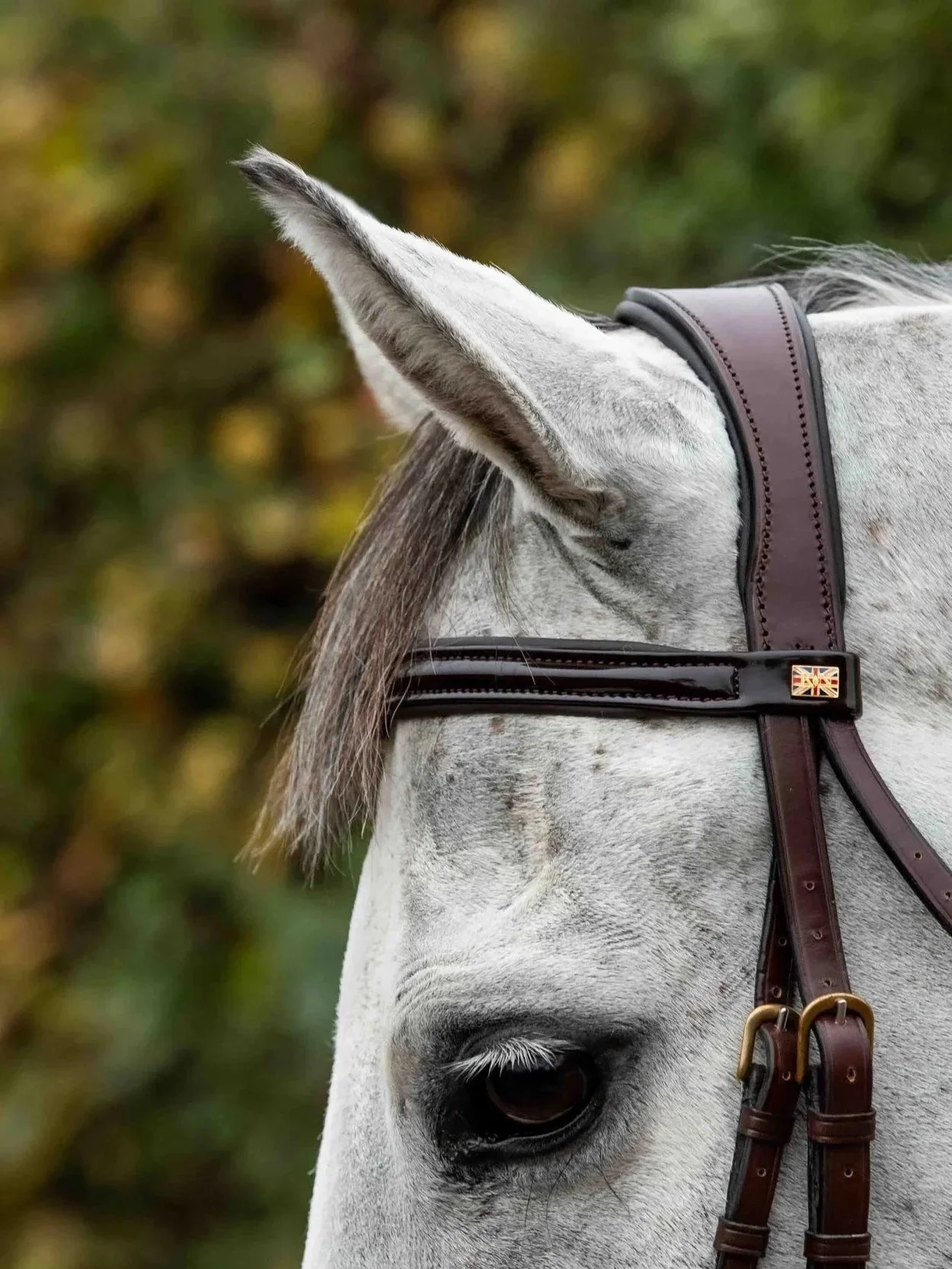 Padded Patent trimmed  Browband