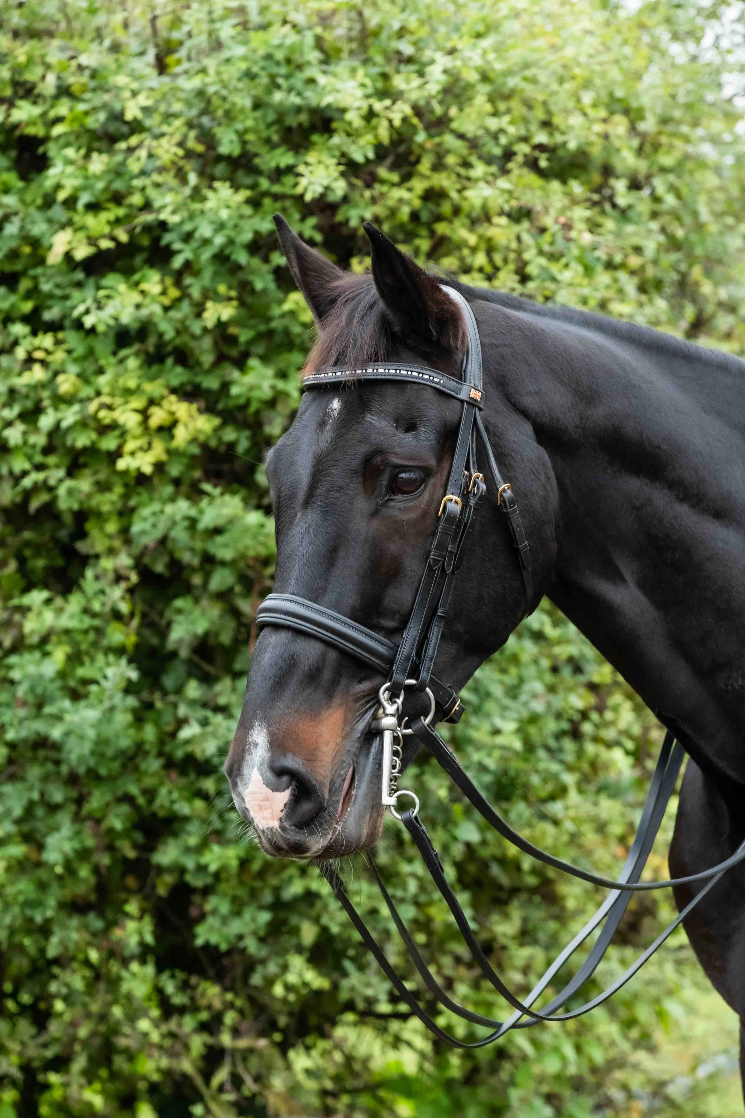 Padded Comp Double.jpg