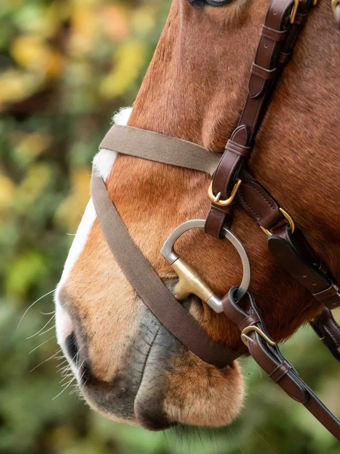 Elasticated Grackle Noseband
