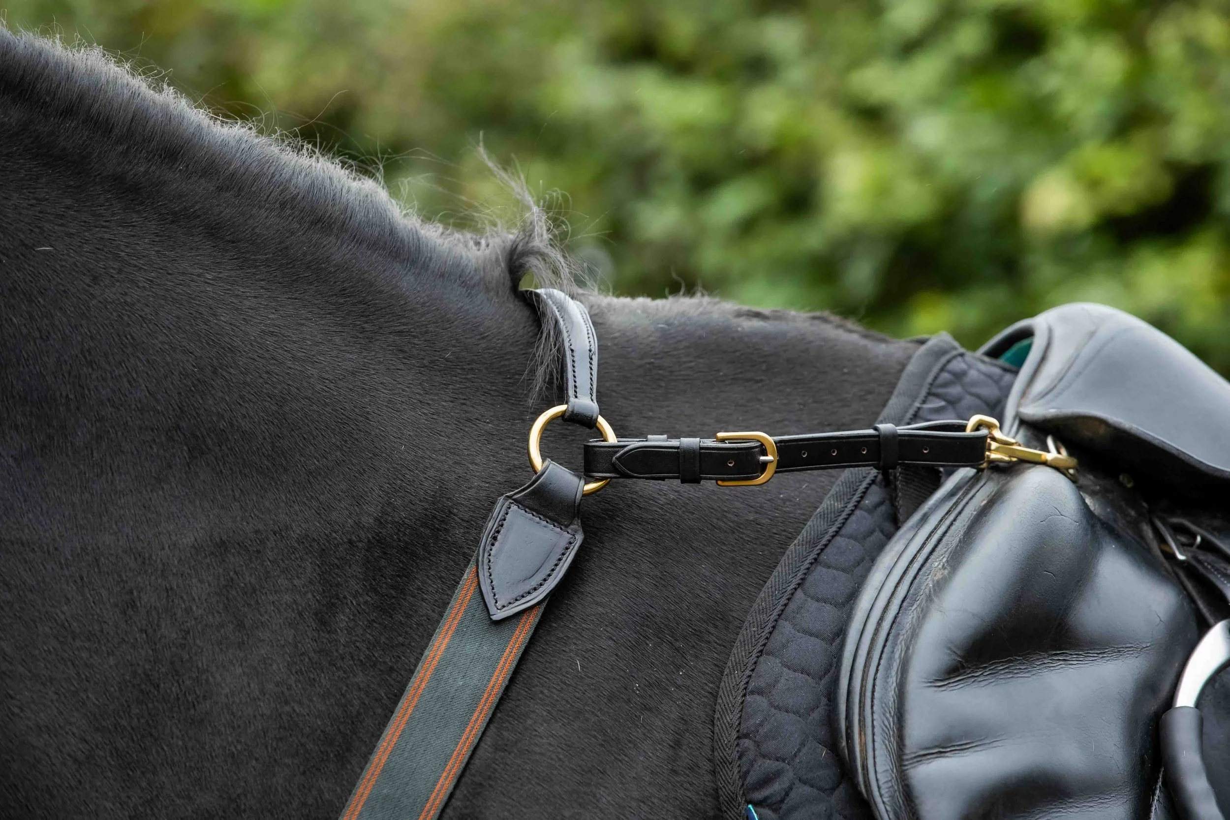 3pt Elasticated BP wither strap.jpg