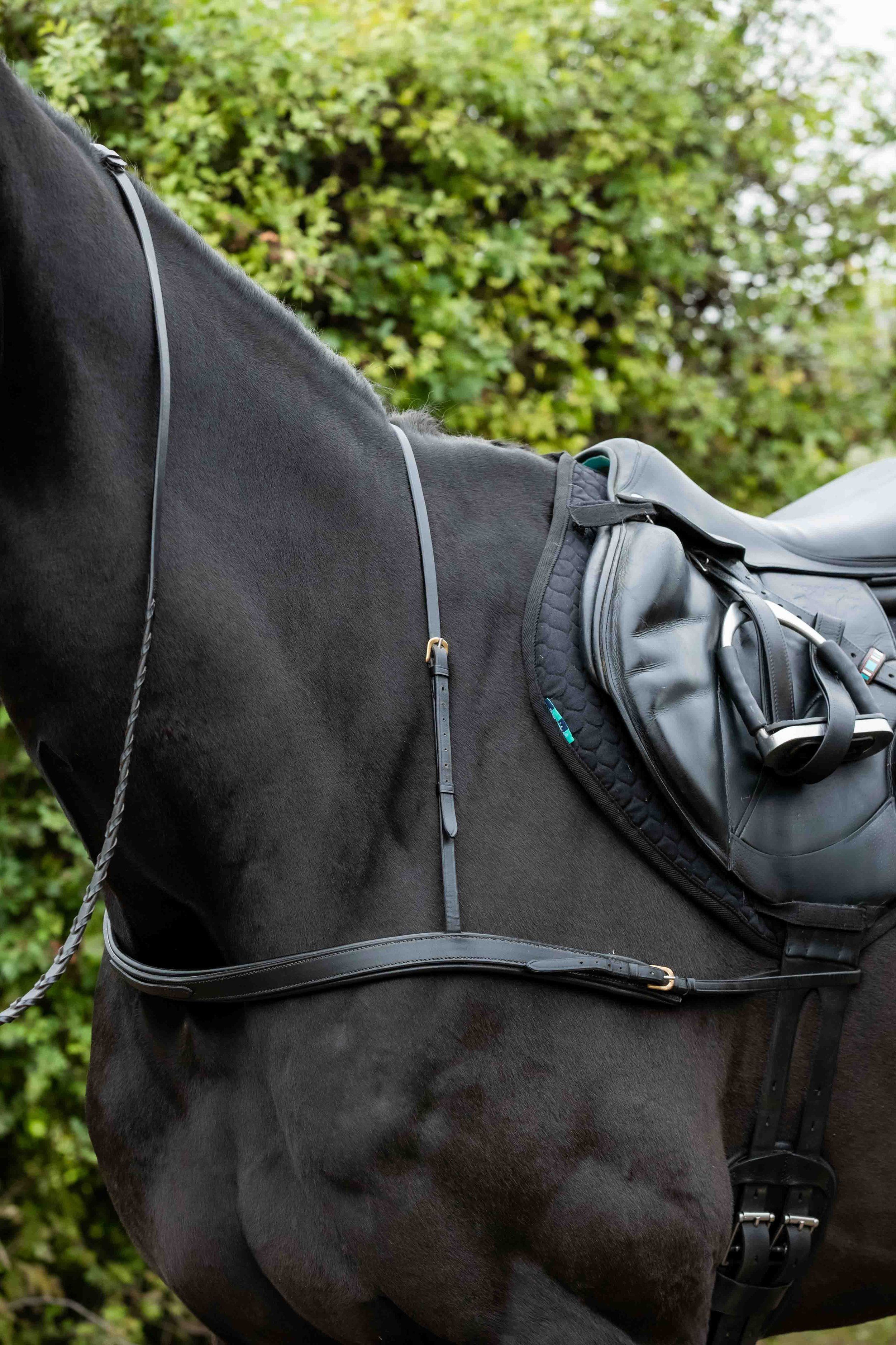 Padded Leather Breast girth