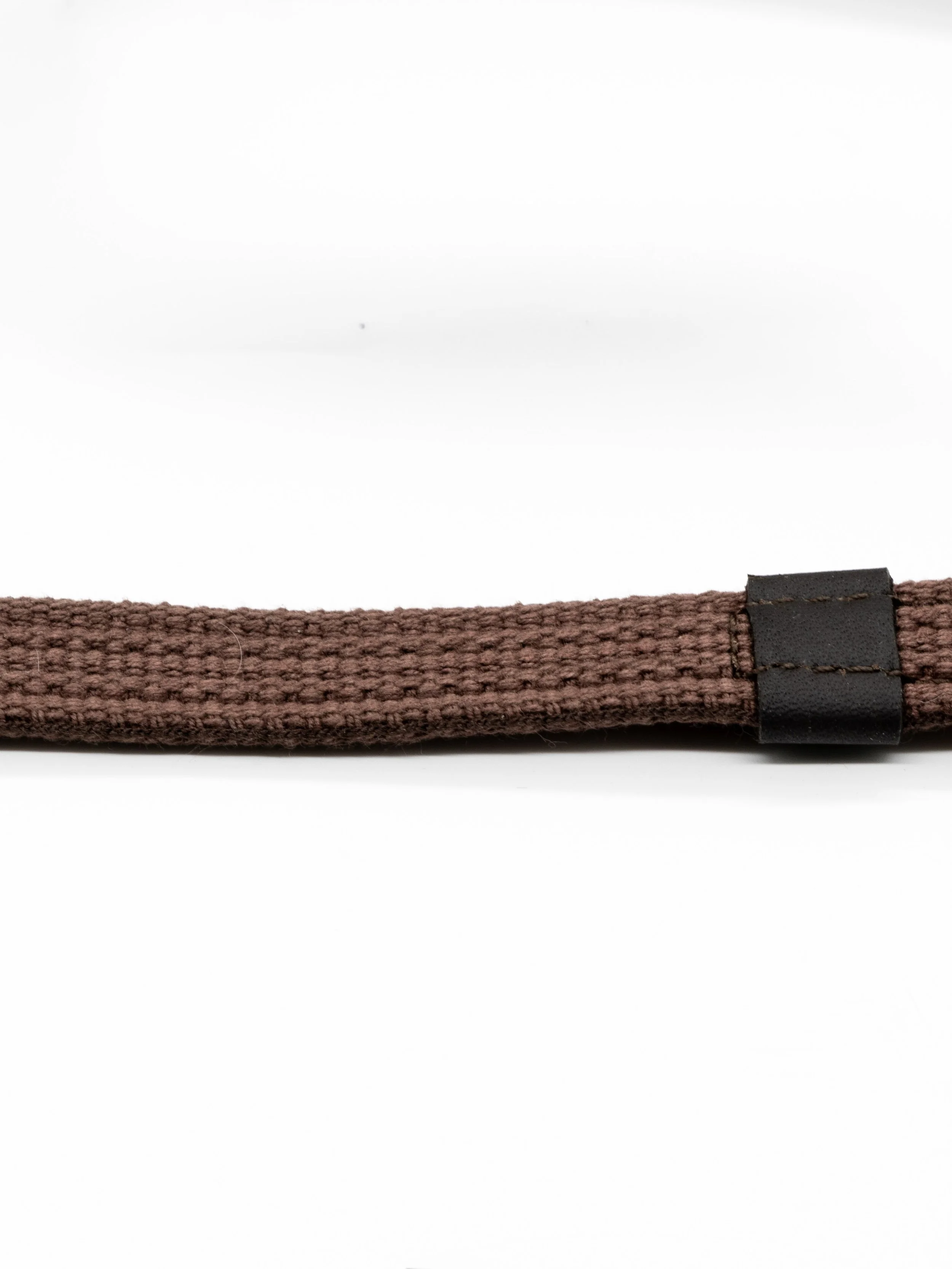 Continental rein close up.jpg