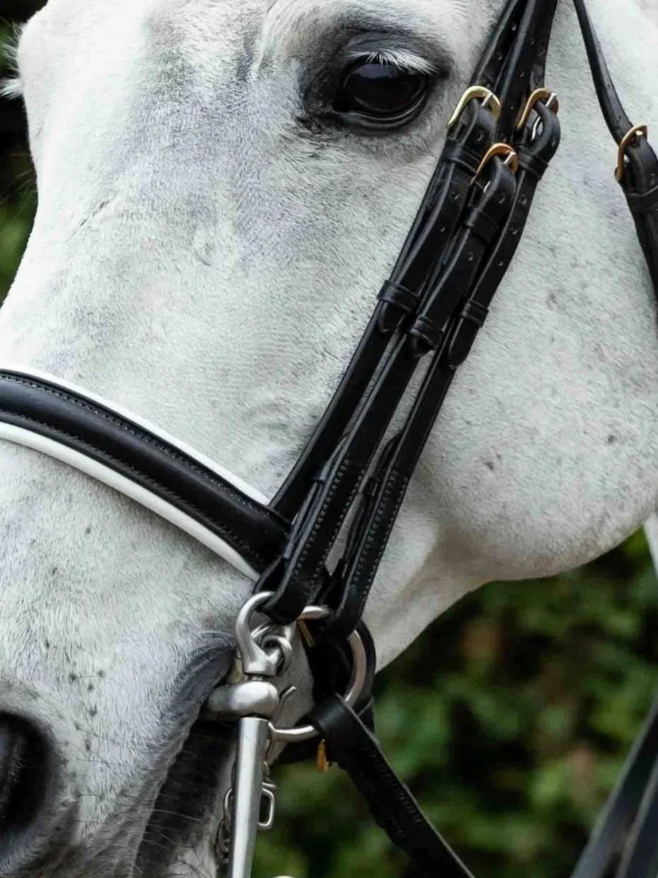 1/2" Hookstud Cheekpieces