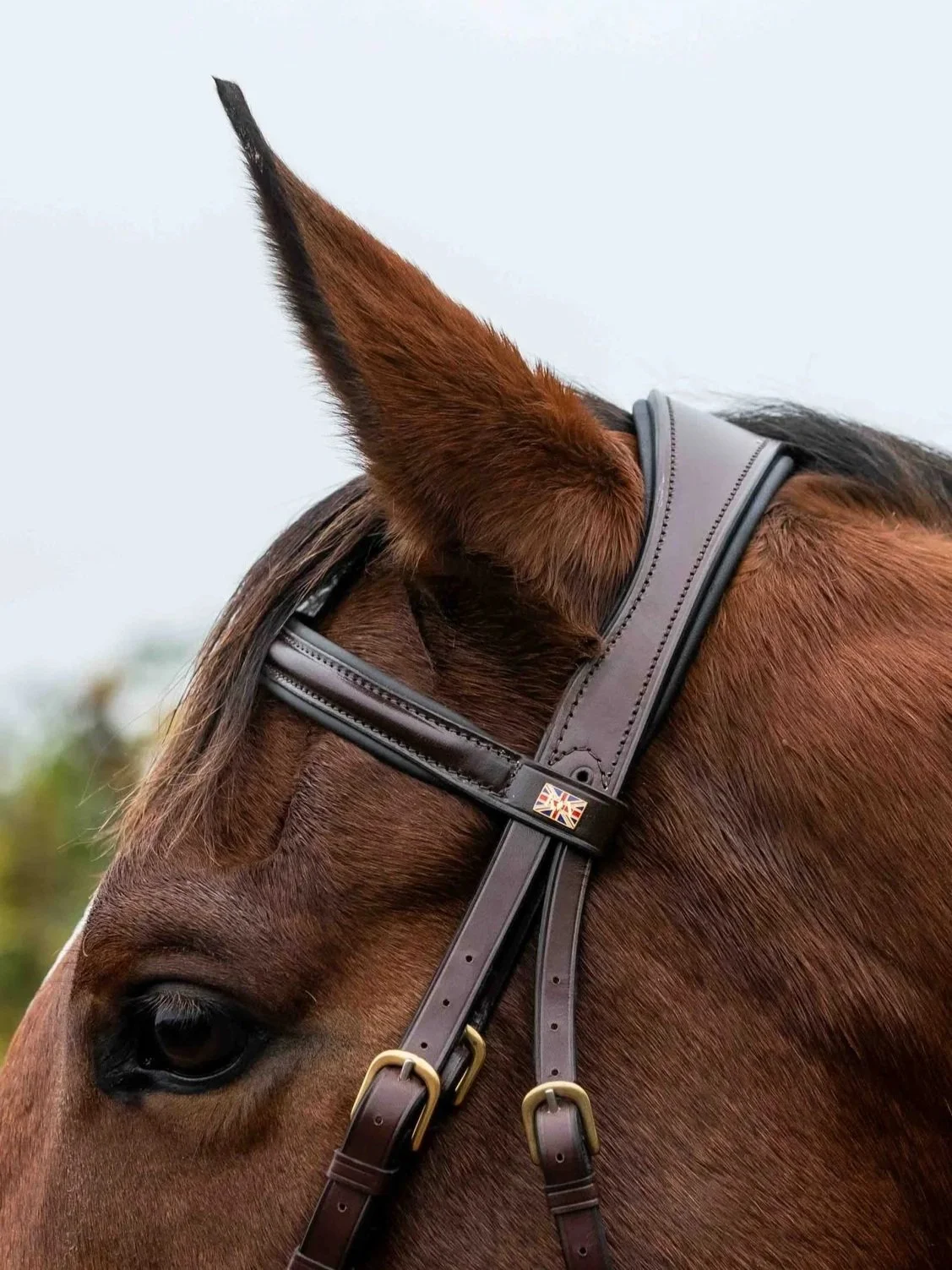 Padded Leather lined Browband