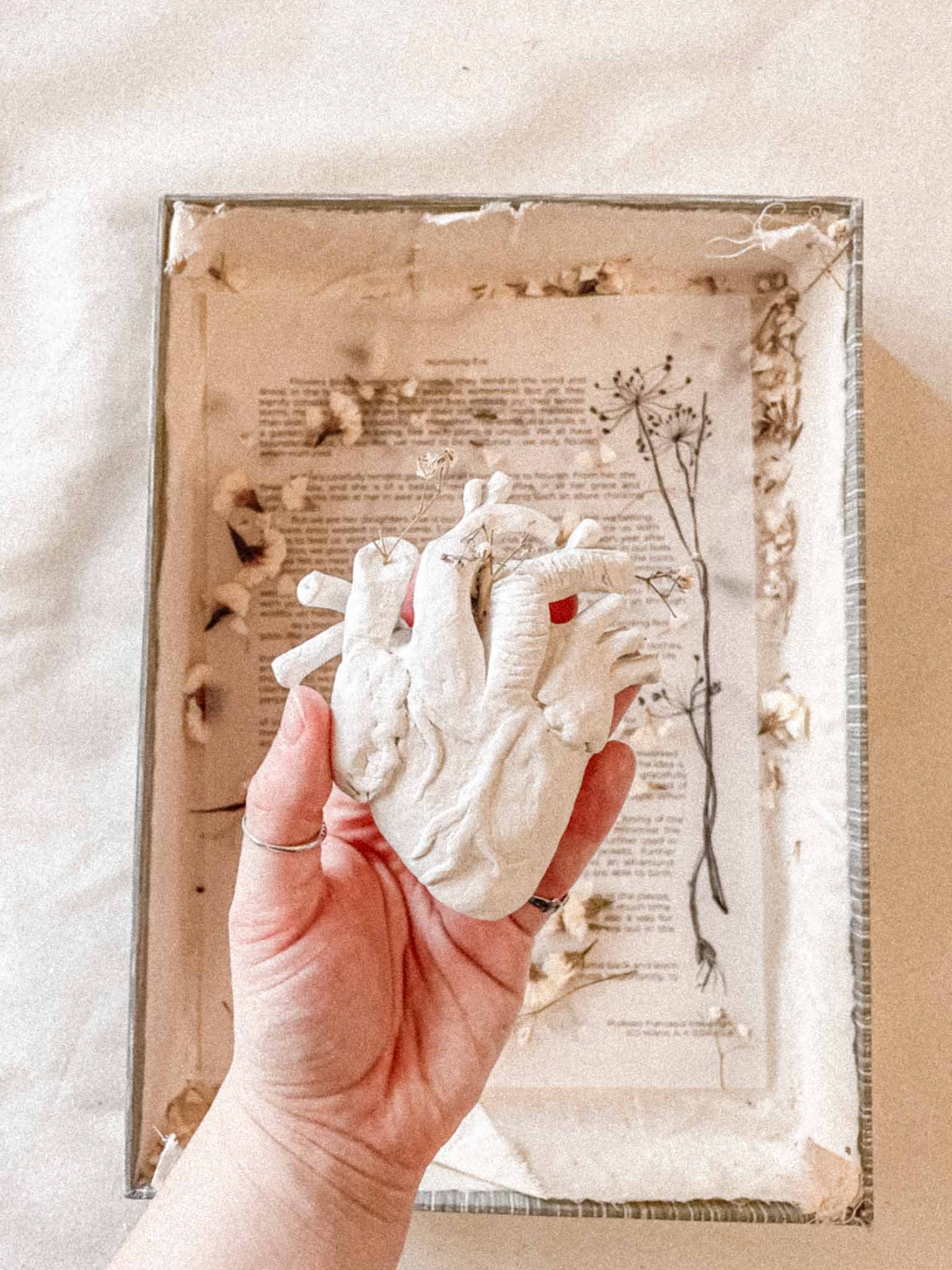 A hand wearing a ring holds a large, irregularly shaped white flower with small dried flowers attached, above an open vintage-style book with text and botanical illustrations.