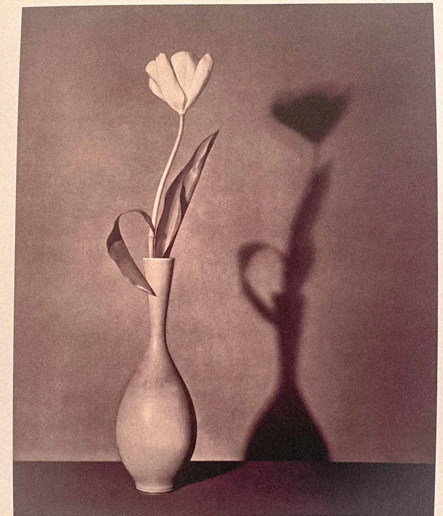 Three pottery vases and two spherical objects with shadows on a flat surface. The background is plain and the lighting creates shadows behind the objects.