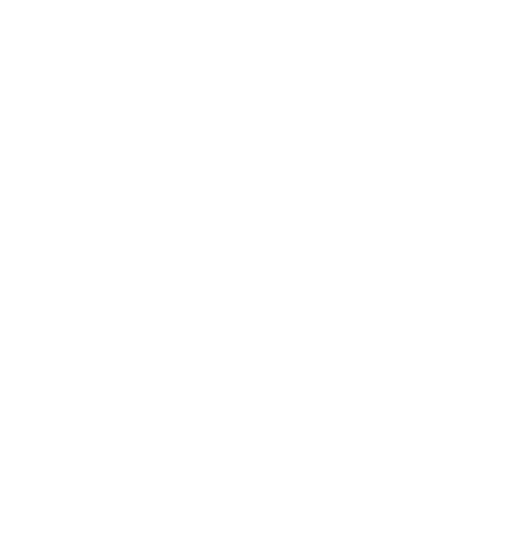A black and white graphic with a stylized lion's face, featuring a heart-shaped eye, a large eye with a tear drop, and a mane made of jagged shapes. The word 'RECAPRNATION' is written below in capital letters.