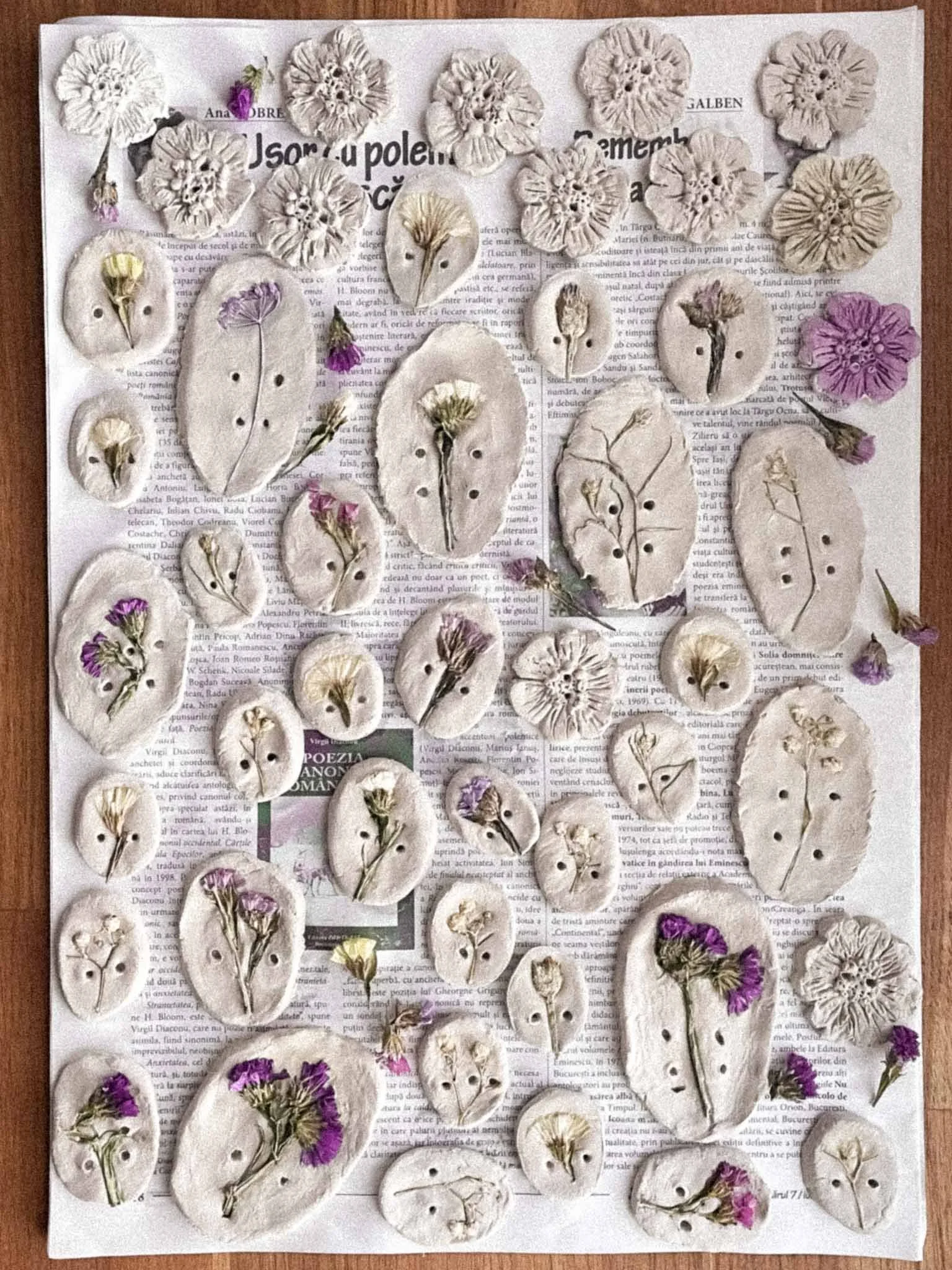 Pressed flowers and leaves arranged on a sheet of paper with printed text.