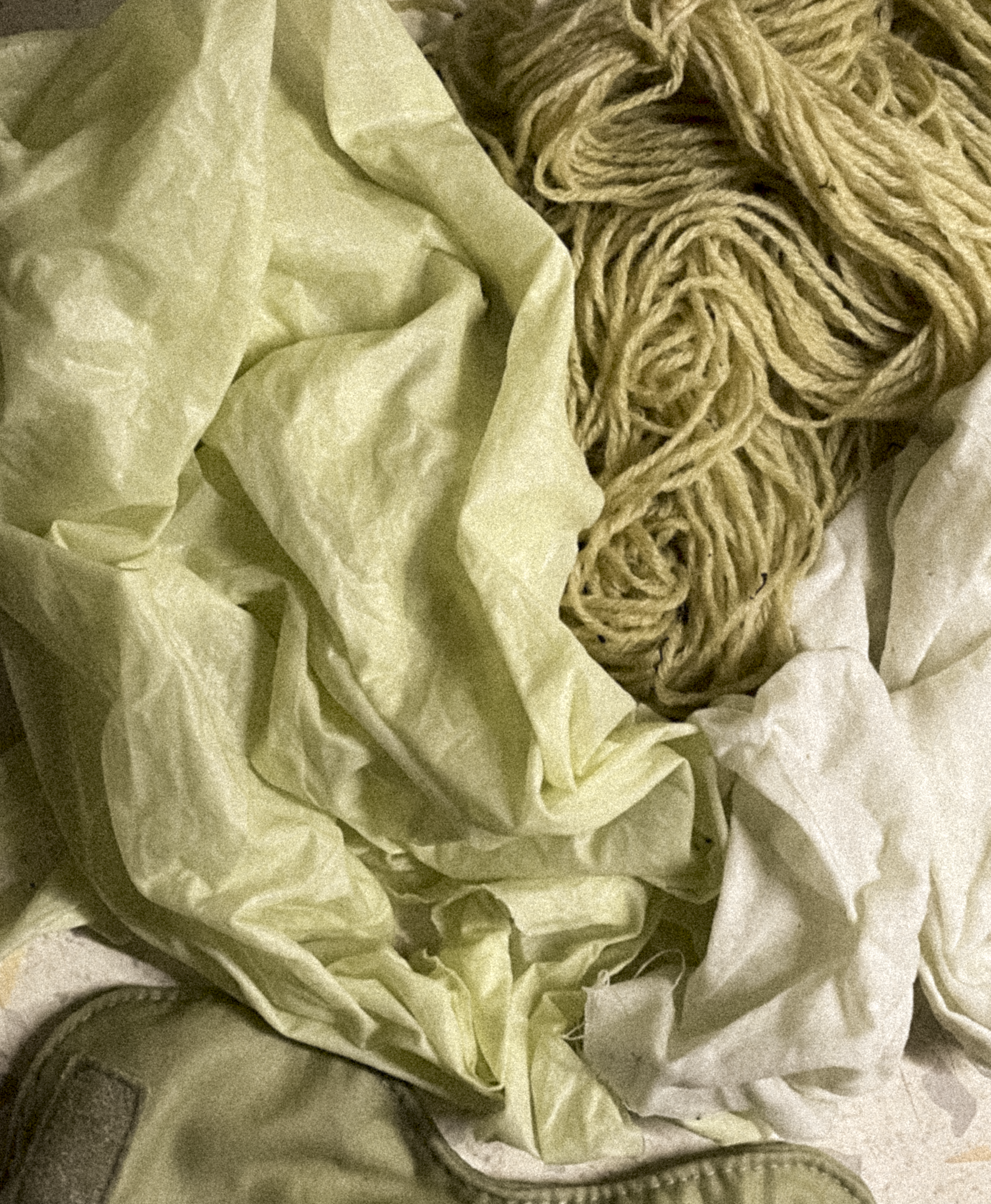 Carrot-leaf eco dye
