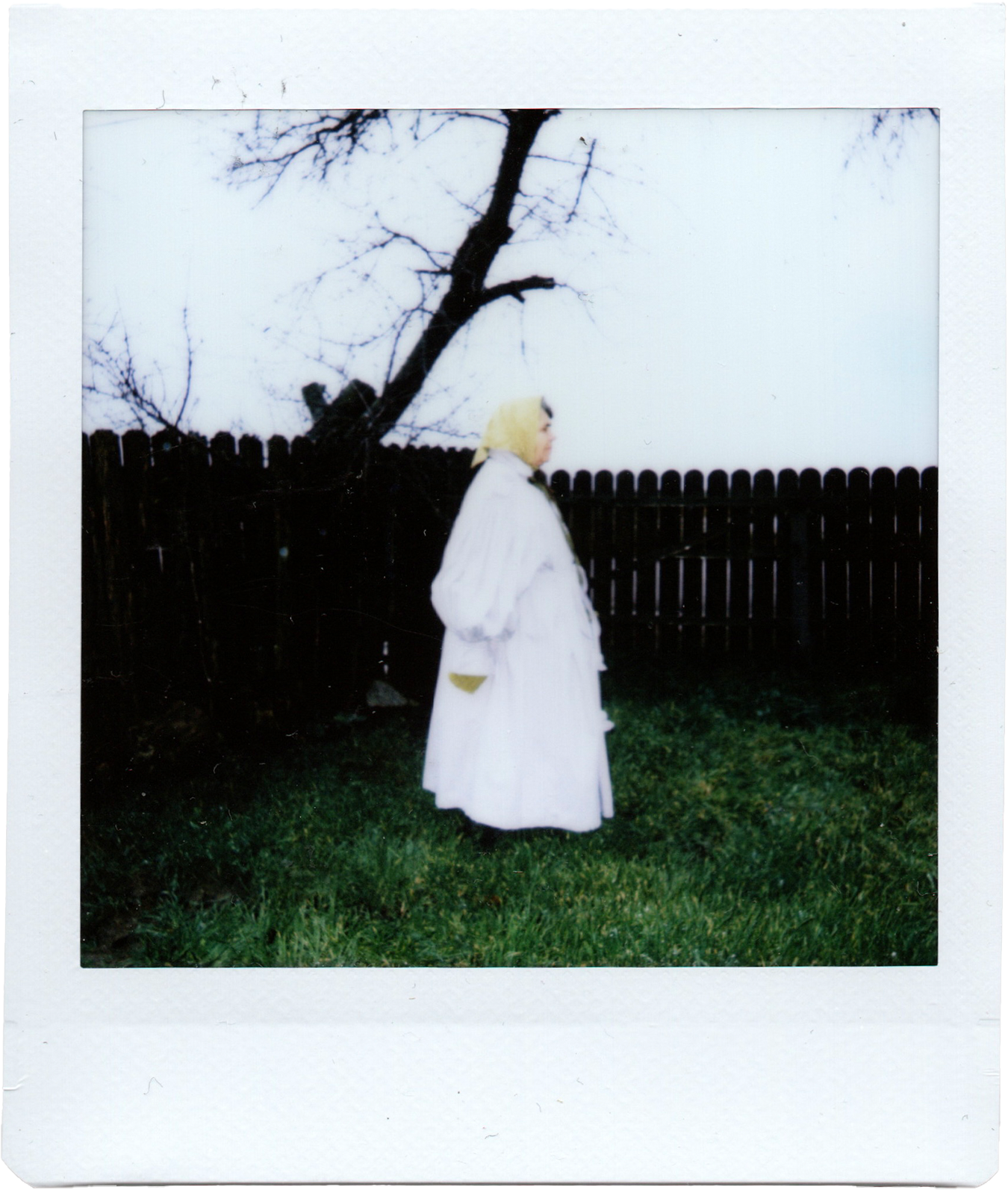 A person with a yellow hooded jacket and a white coat, standing outside on green grass, near a wooden fence and a leafless tree.