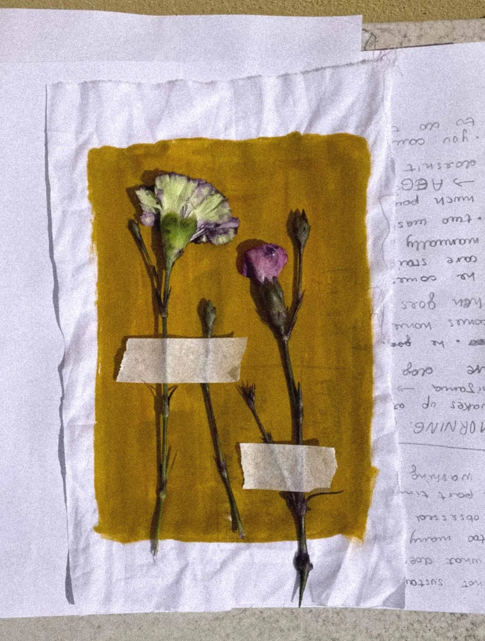 A piece of paper with handwritten notes on the right side and colorful flower illustrations on the left side, with a yellow square background.