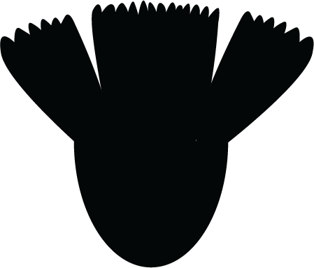 Silhouette of a person's head with spiky hair