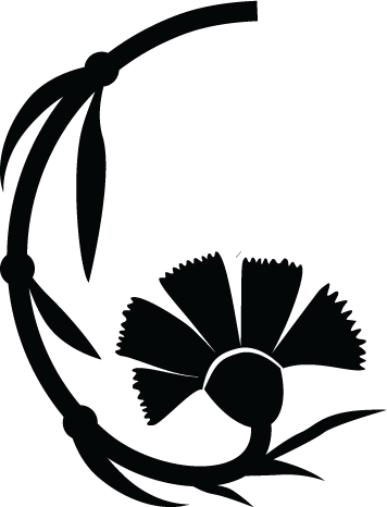 A small flower with eight petals and a rounded center on a dark background.