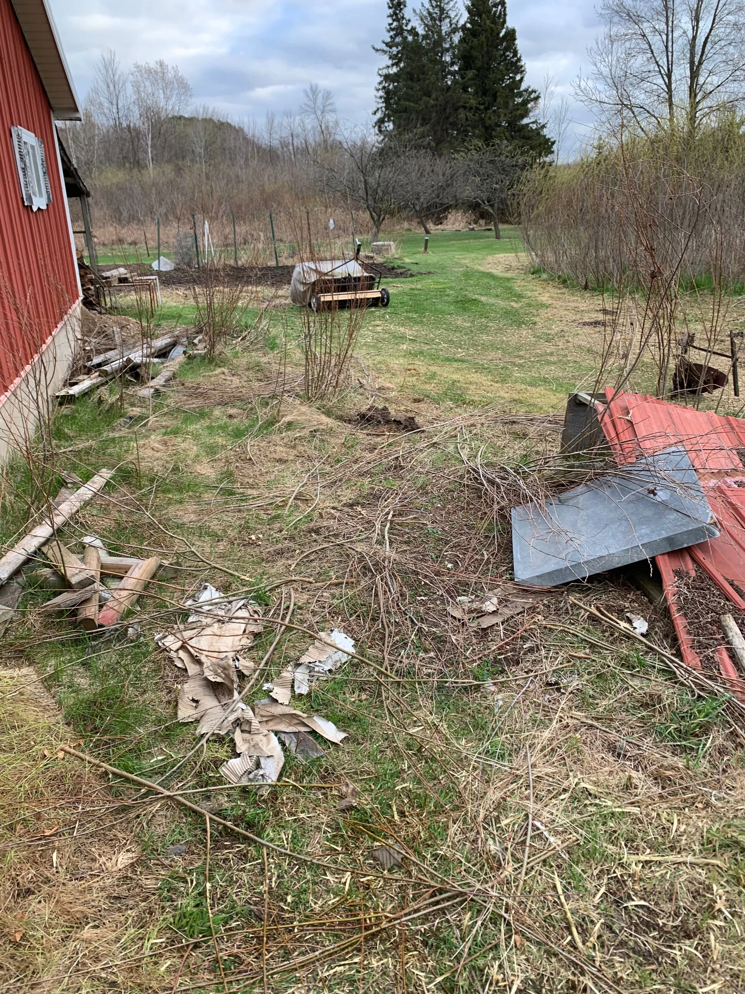 Side yard filled with debris, junk, and overgrown brush. 