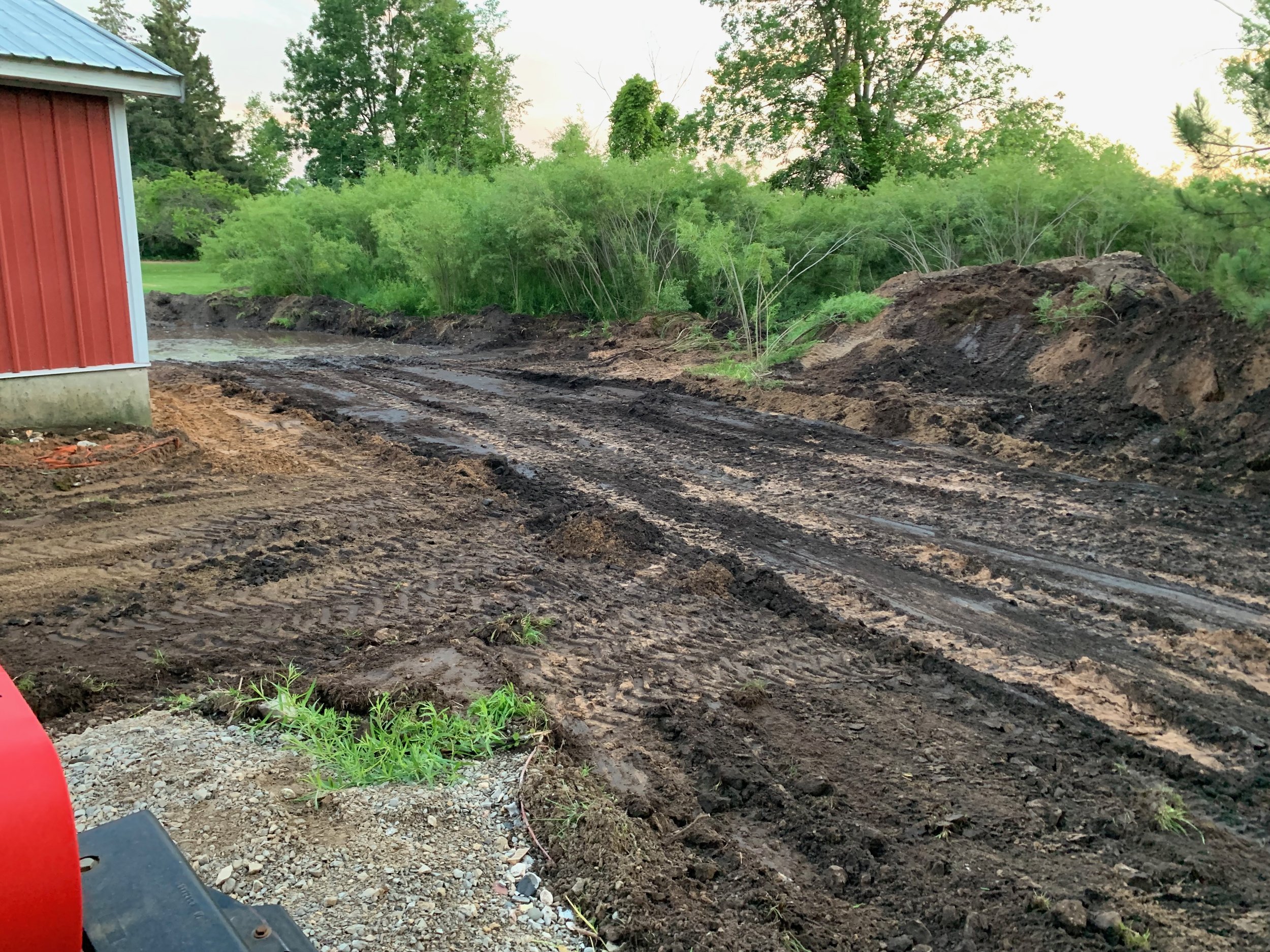 Debris and brush removed from the side yard of the barn. 