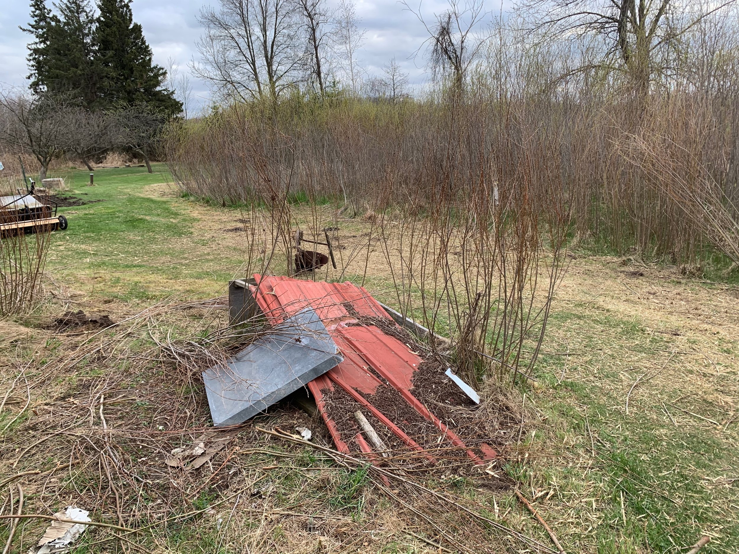 Additional view of side yard filled with debris, junk, and overgrown brush. 