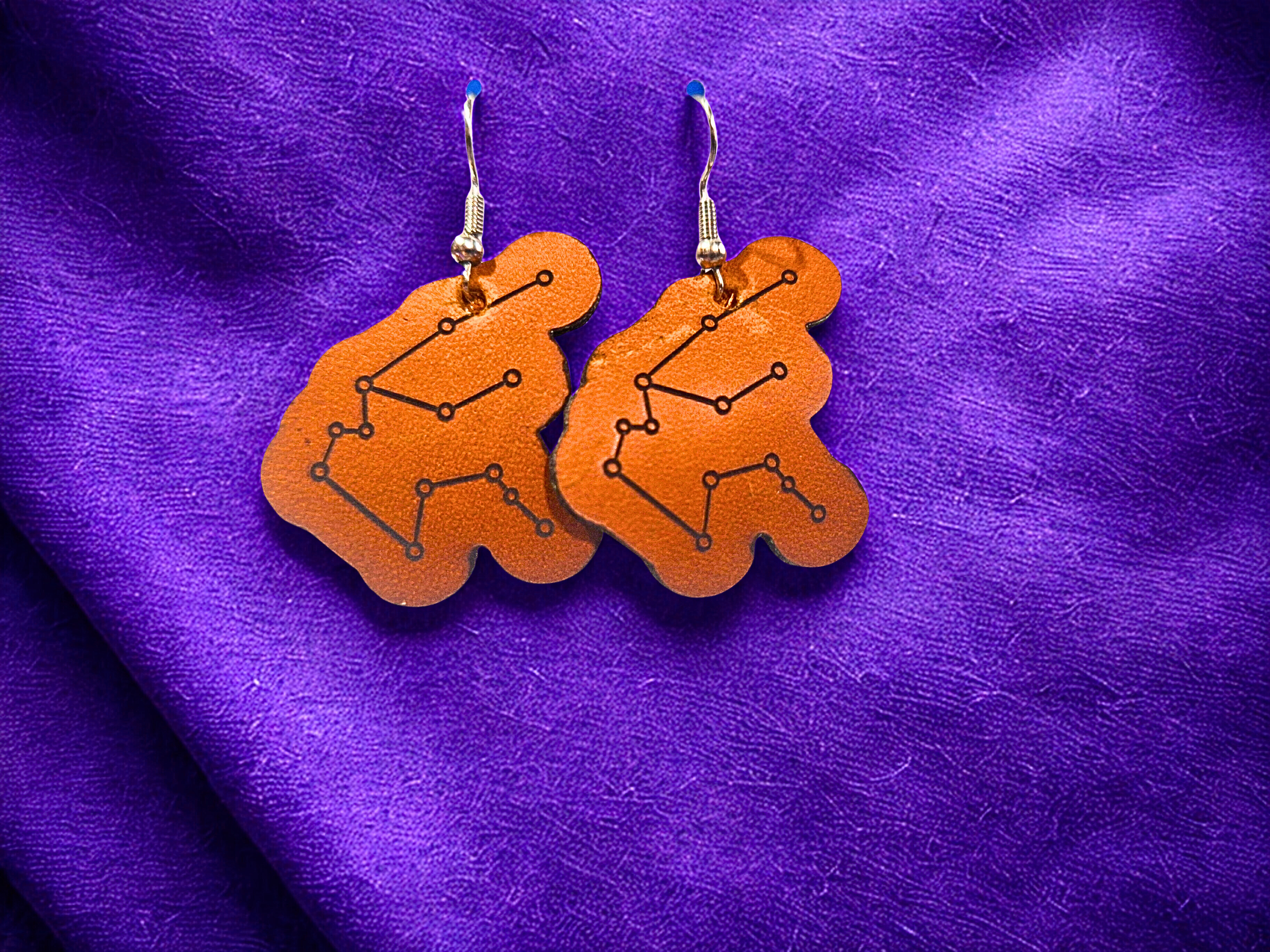 Aquarius Constellation Earring Set