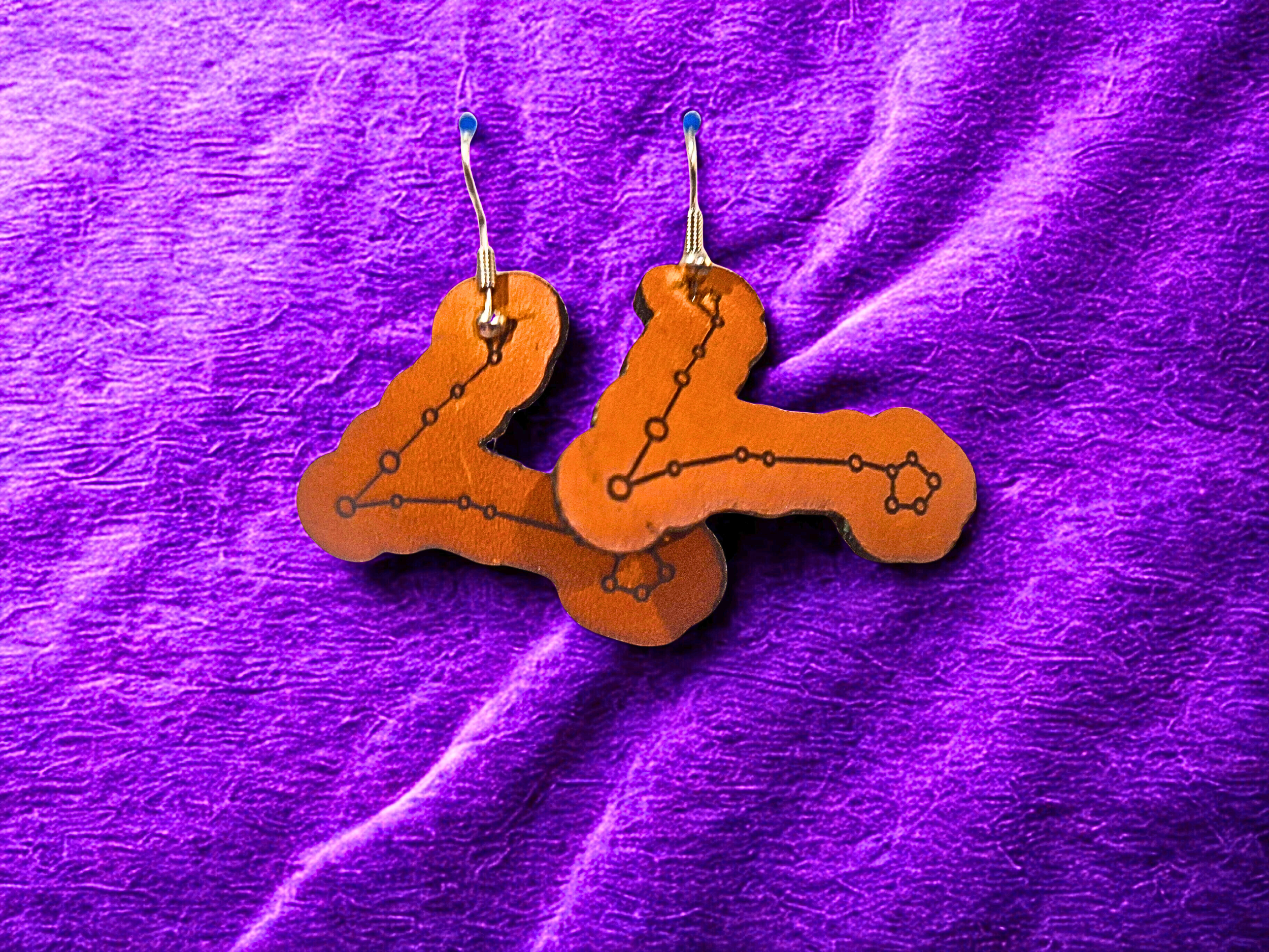 Pisces Constellation Earring Set