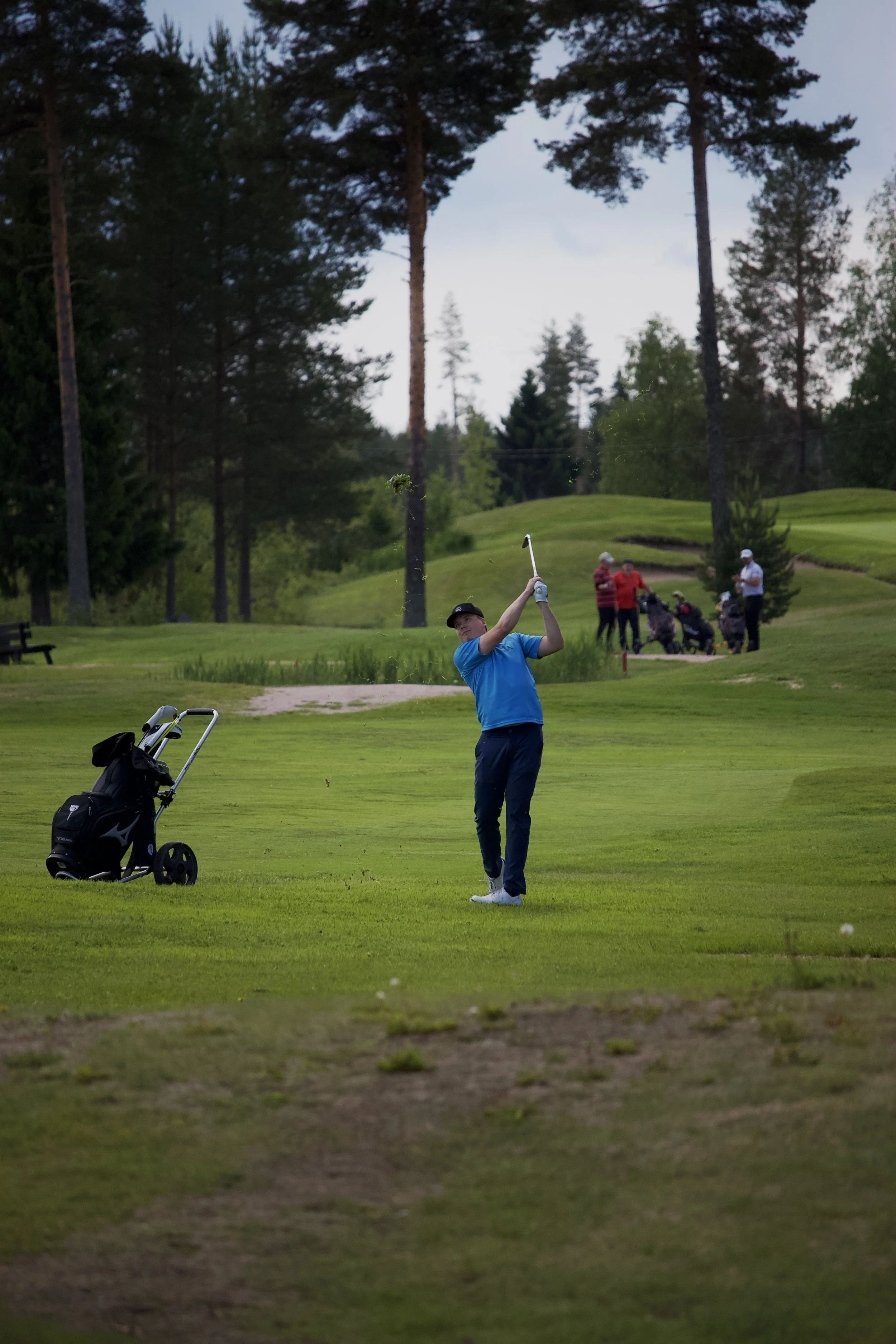 Golfaaja lyö lähestymislyöntiä suomalaisella kentällä – golfharjoittelu ja kilpagolf Suomessa