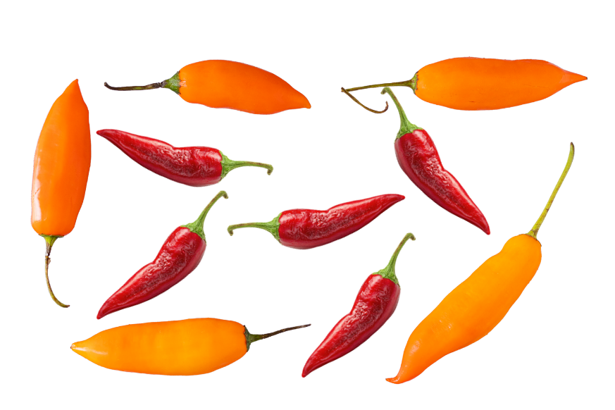 Peruvian Chilies (Ajíes)